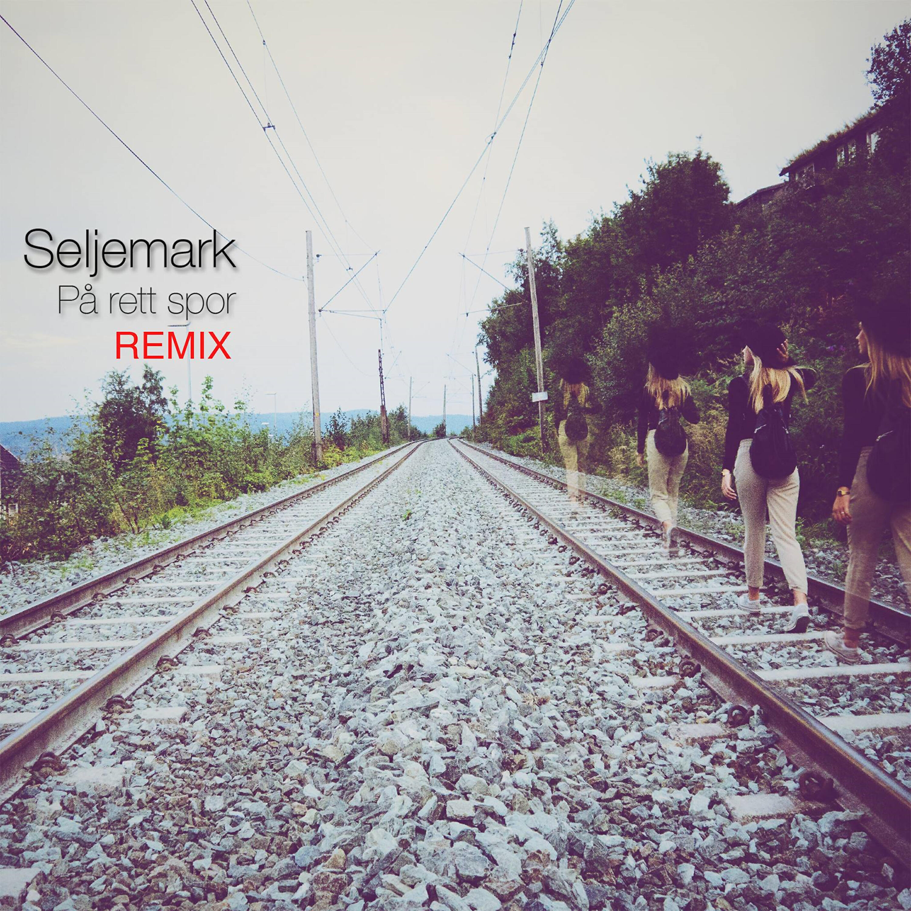 Seljemark - Over stokk å stein (Remix)