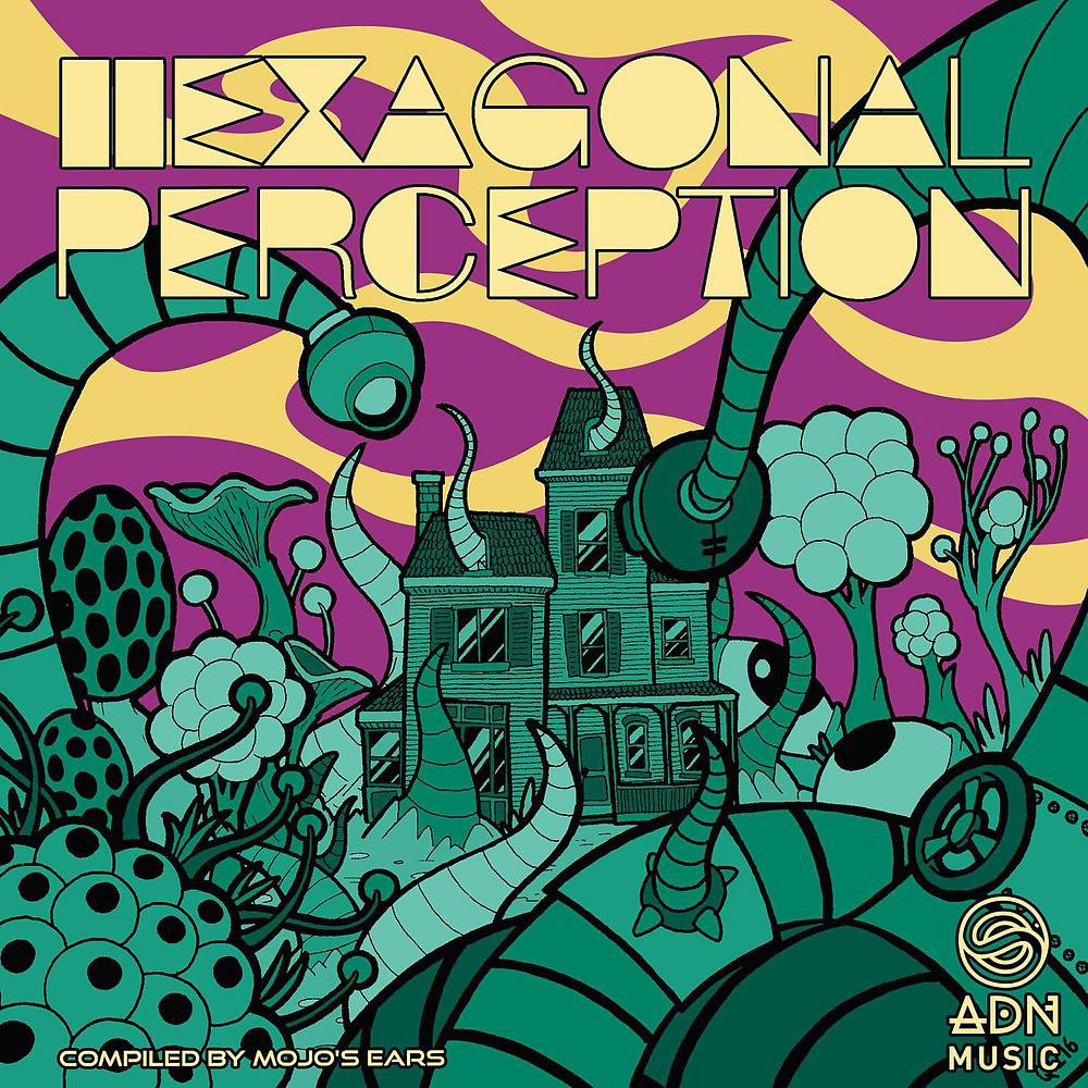 Постер альбома Hexagonal Perception
