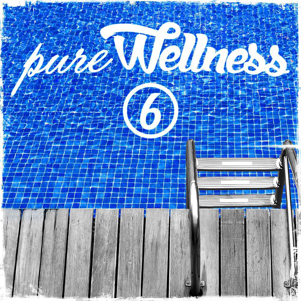 Постер альбома Pure Wellness 6
