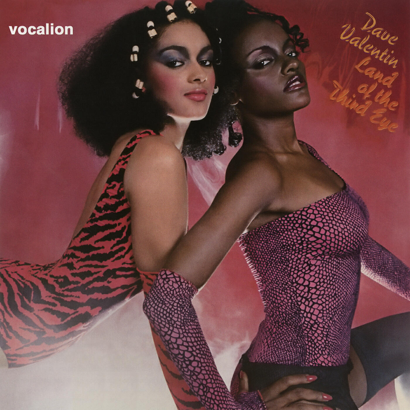 Dave Valentin - Land of the Third Eye