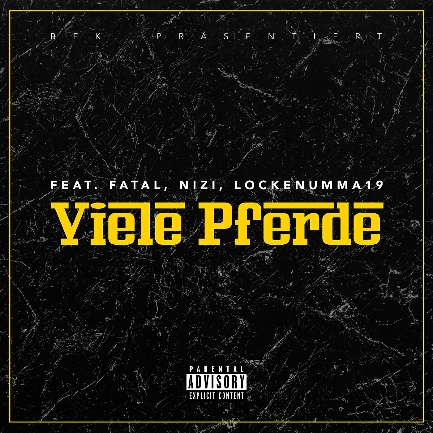 Shqiptar - Viele Pferde