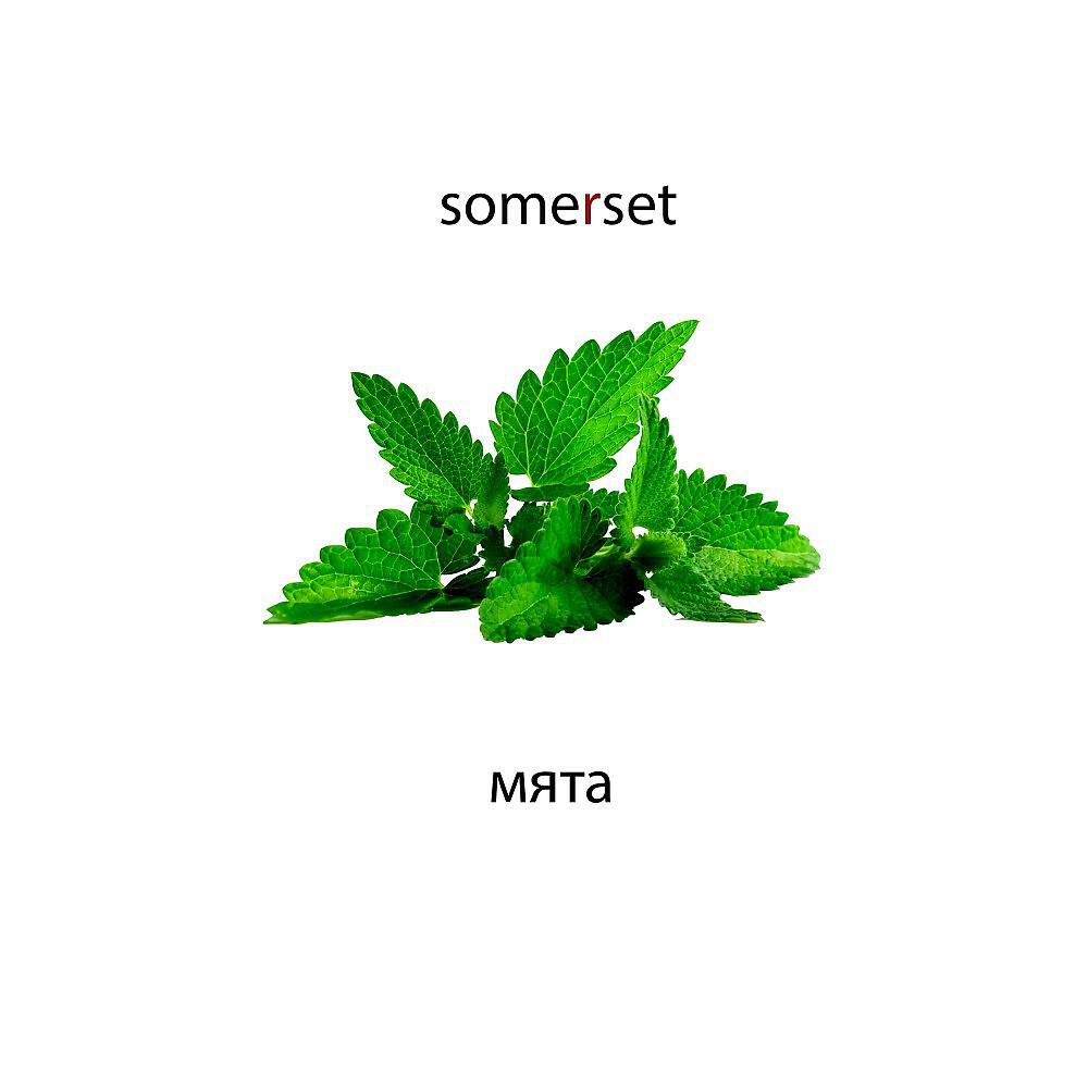 Somerset - Мята (Original Mix)
