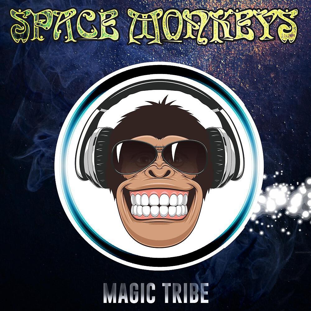 Space-Monkeys - Switchback (Original Mix)