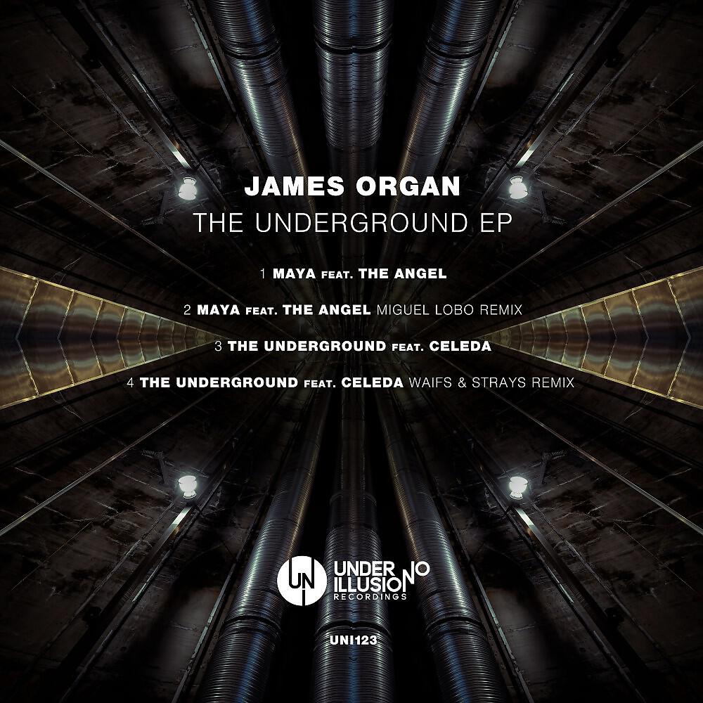 James Organ - The Underground (Waifs & Strays Remix)