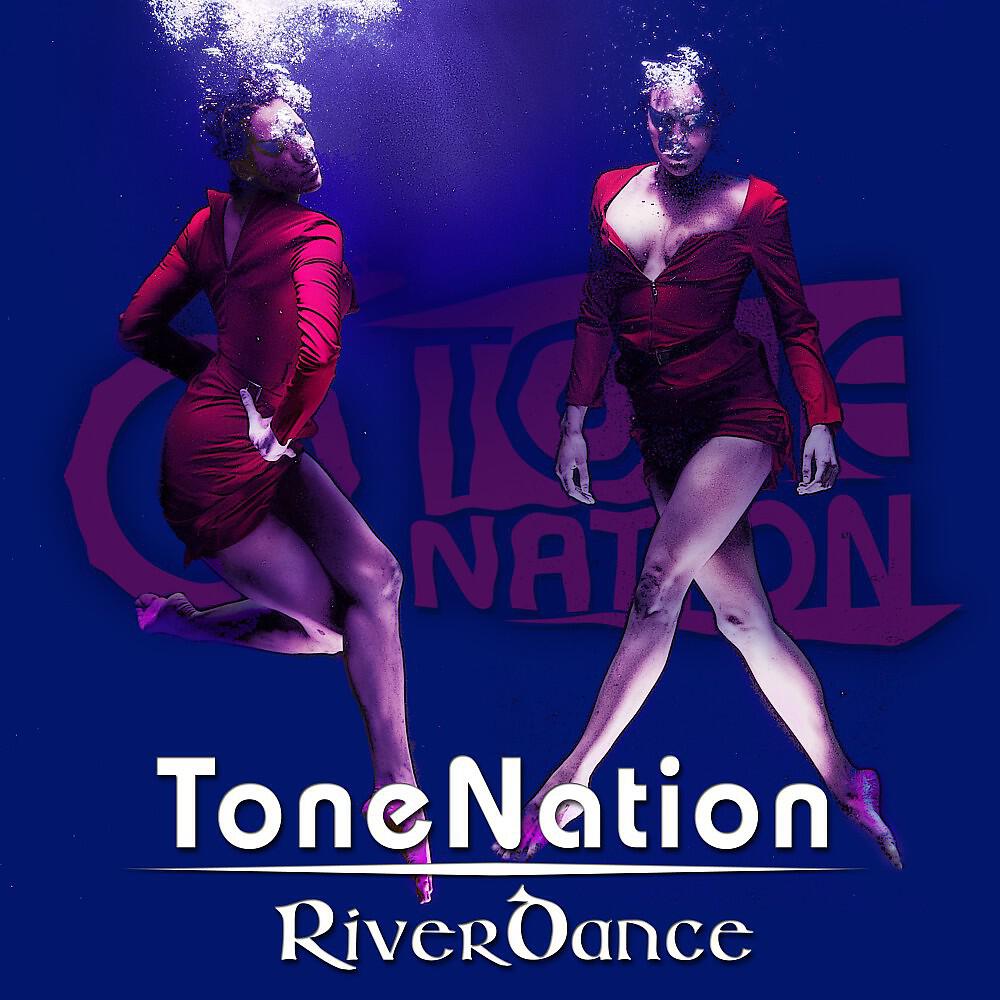 TONENATION - Riverdance (Radio Edit)