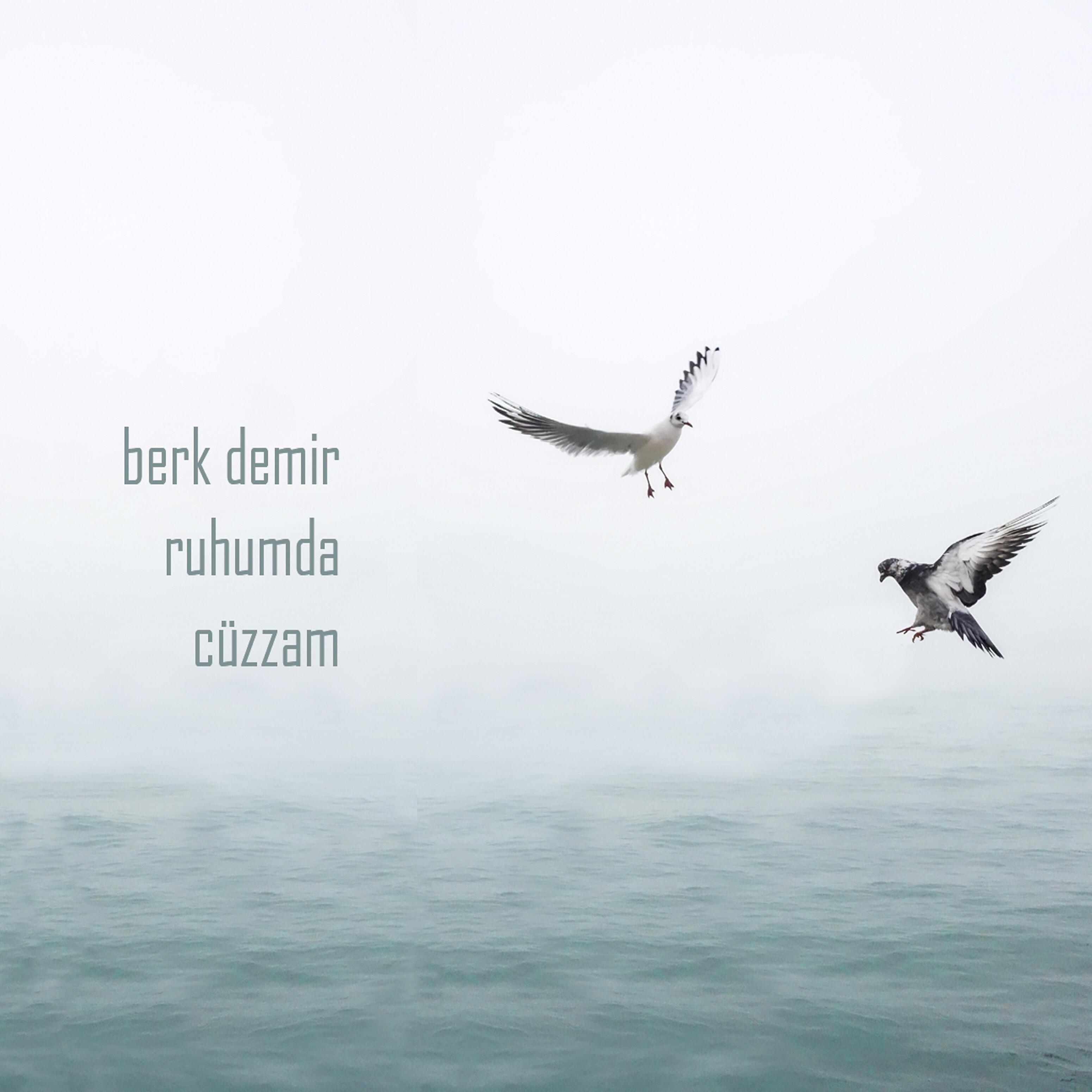 Berk Demir - Ruhumda Cüzzam