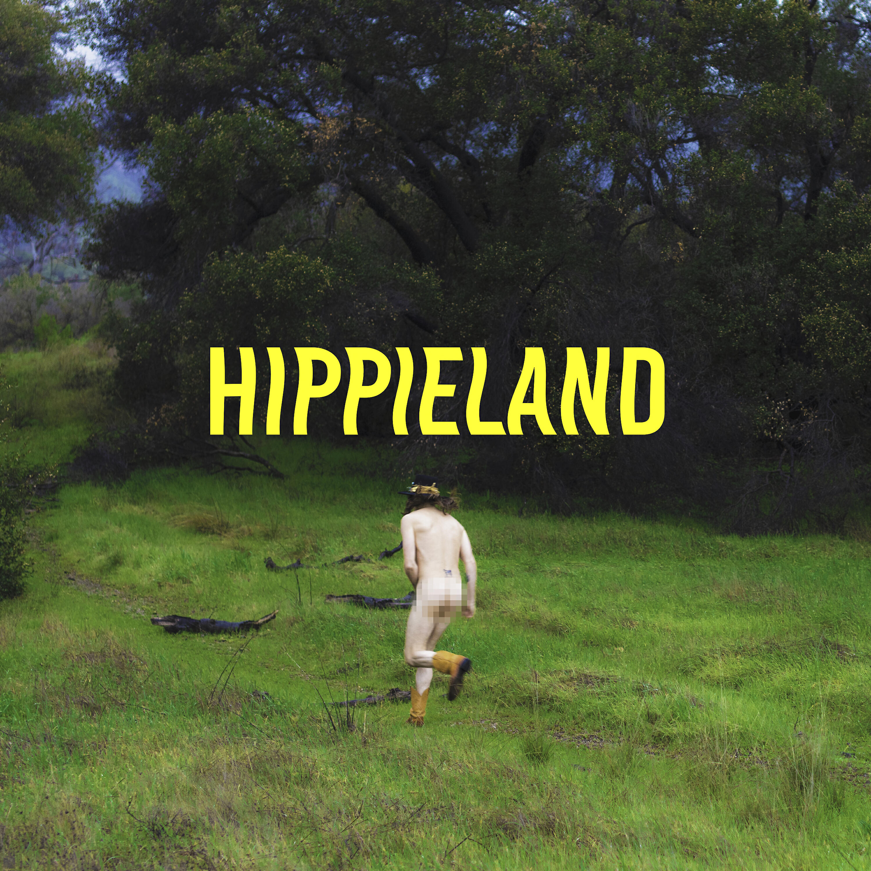 Cisco Adler - Limousine Driver (Live from Hippieland)