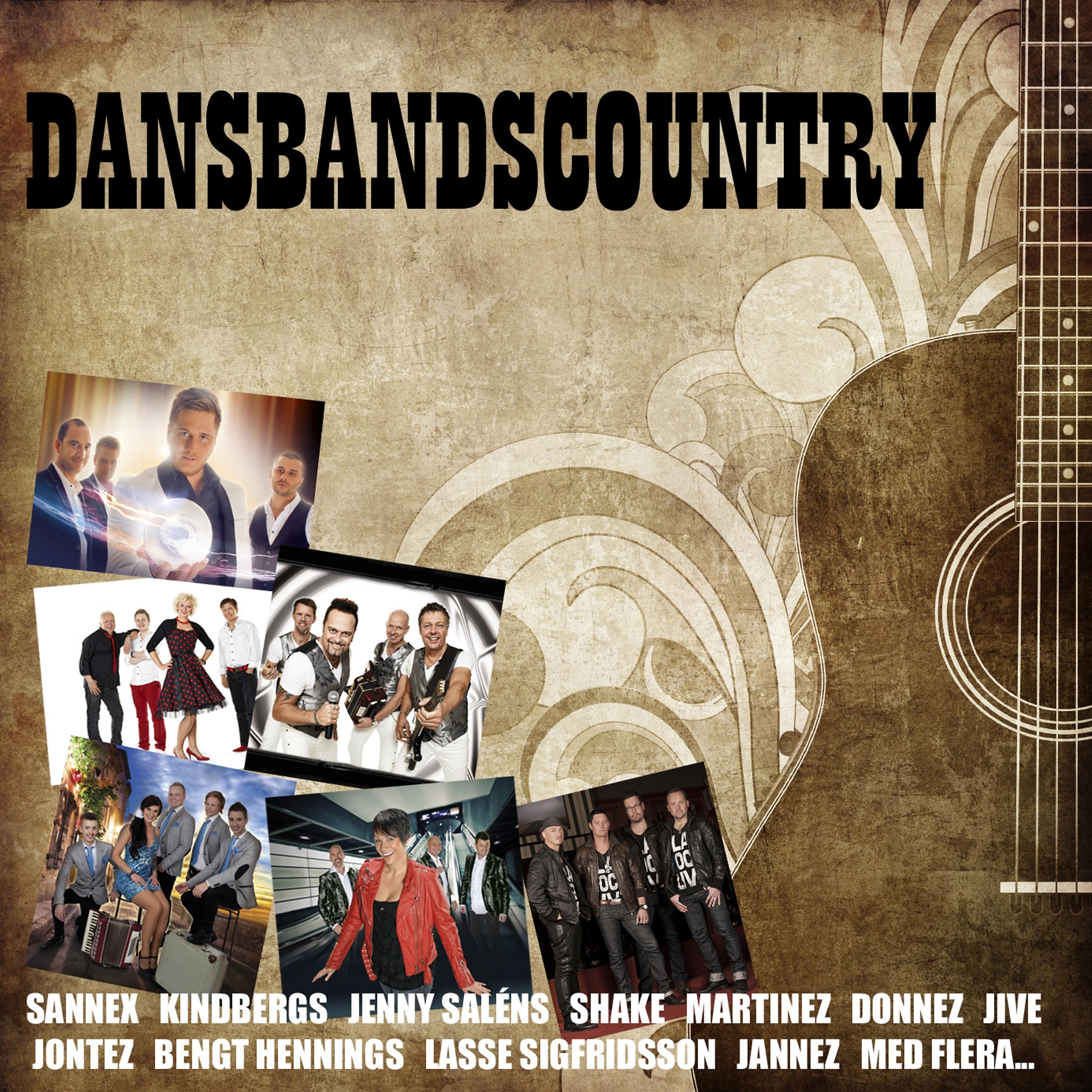 Постер альбома Dansband country