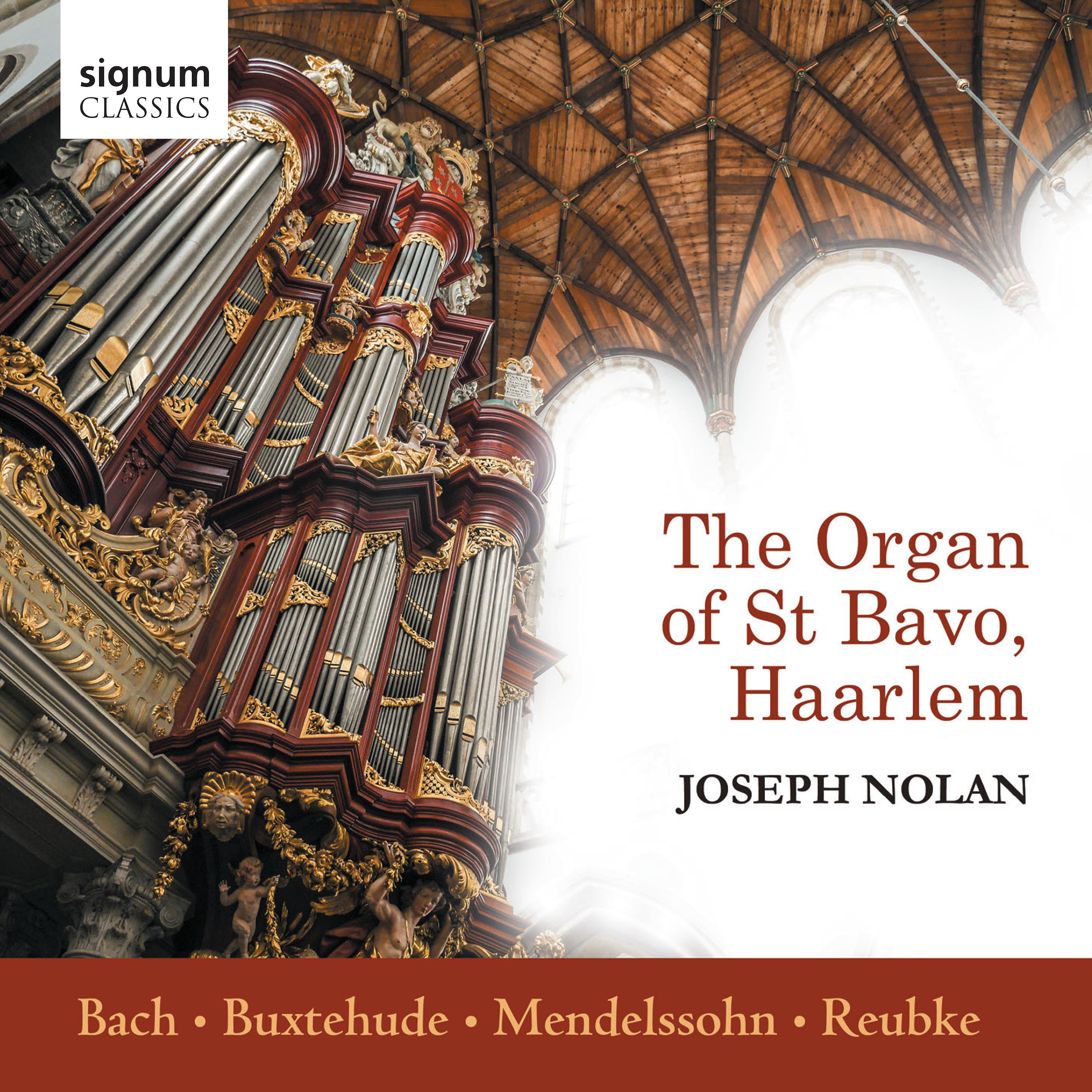 Постер альбома The Organ of St Bavo, Haarlem: Bach, Buxtehude, Mendelssohn, Reubke