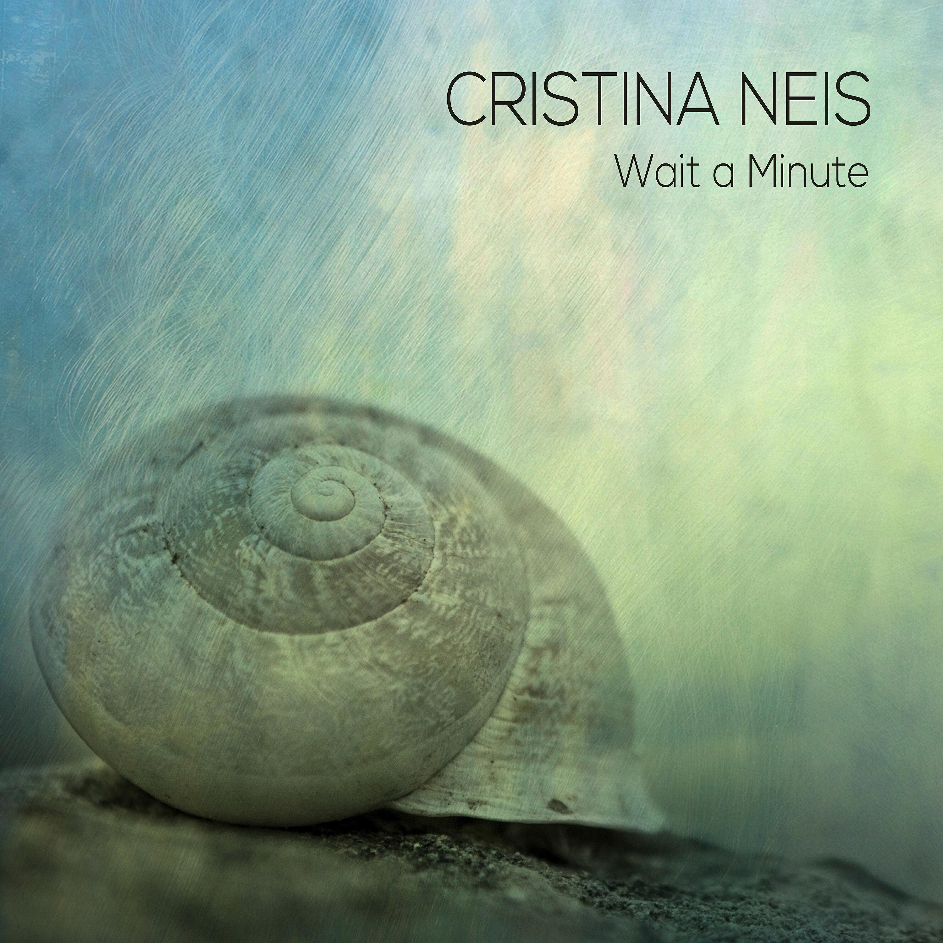 Cristina Neis - Don't Stop Make It Pop
