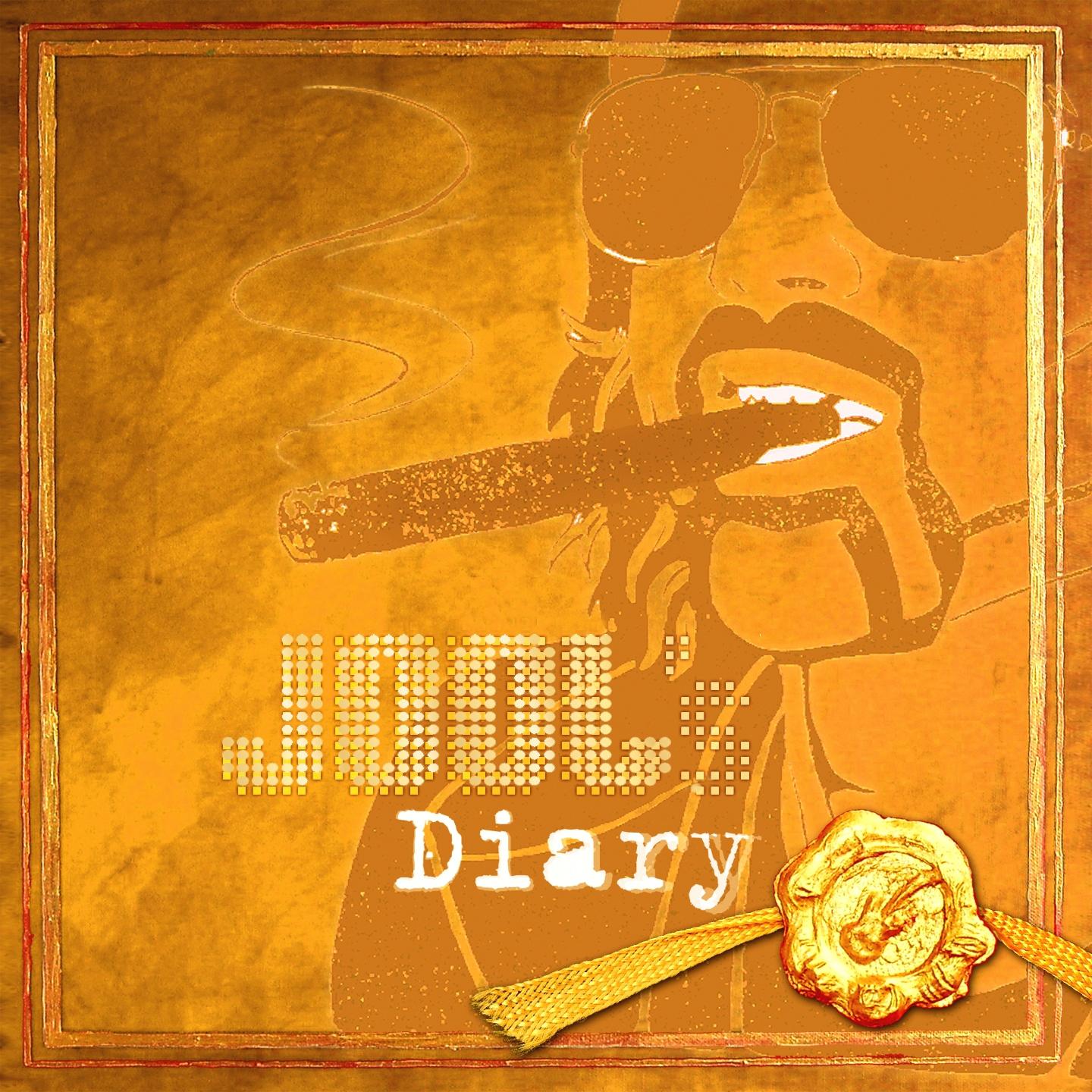 Постер альбома Jool´s Diary 2010