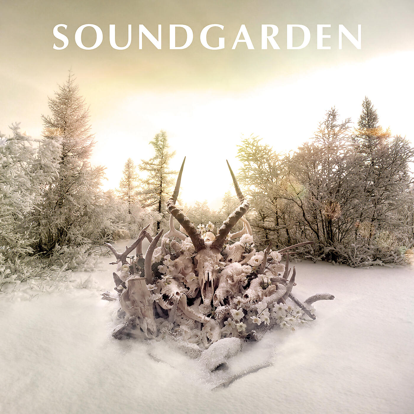 Soundgarden - Non-State Actor