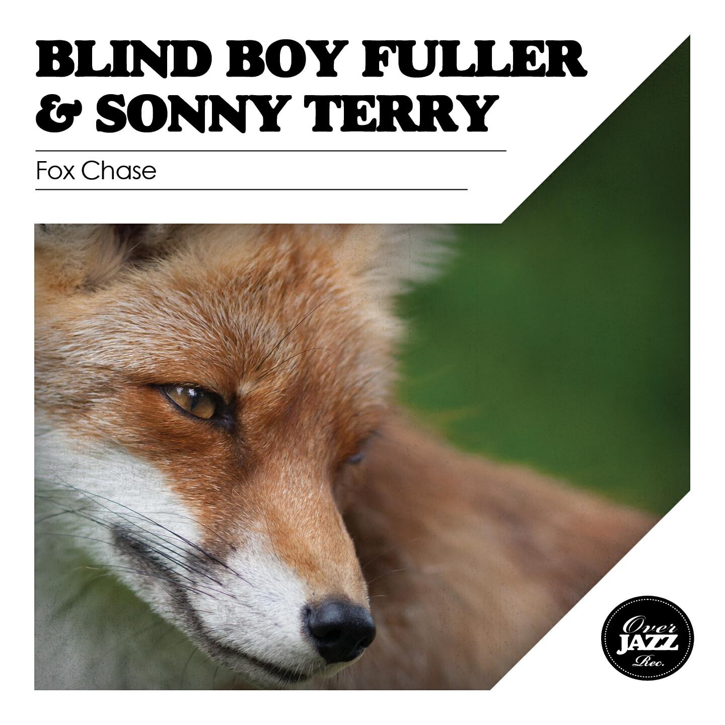 Blind Boy Fuller - Mistreater, You're Going to Be Sorry (Remastered)