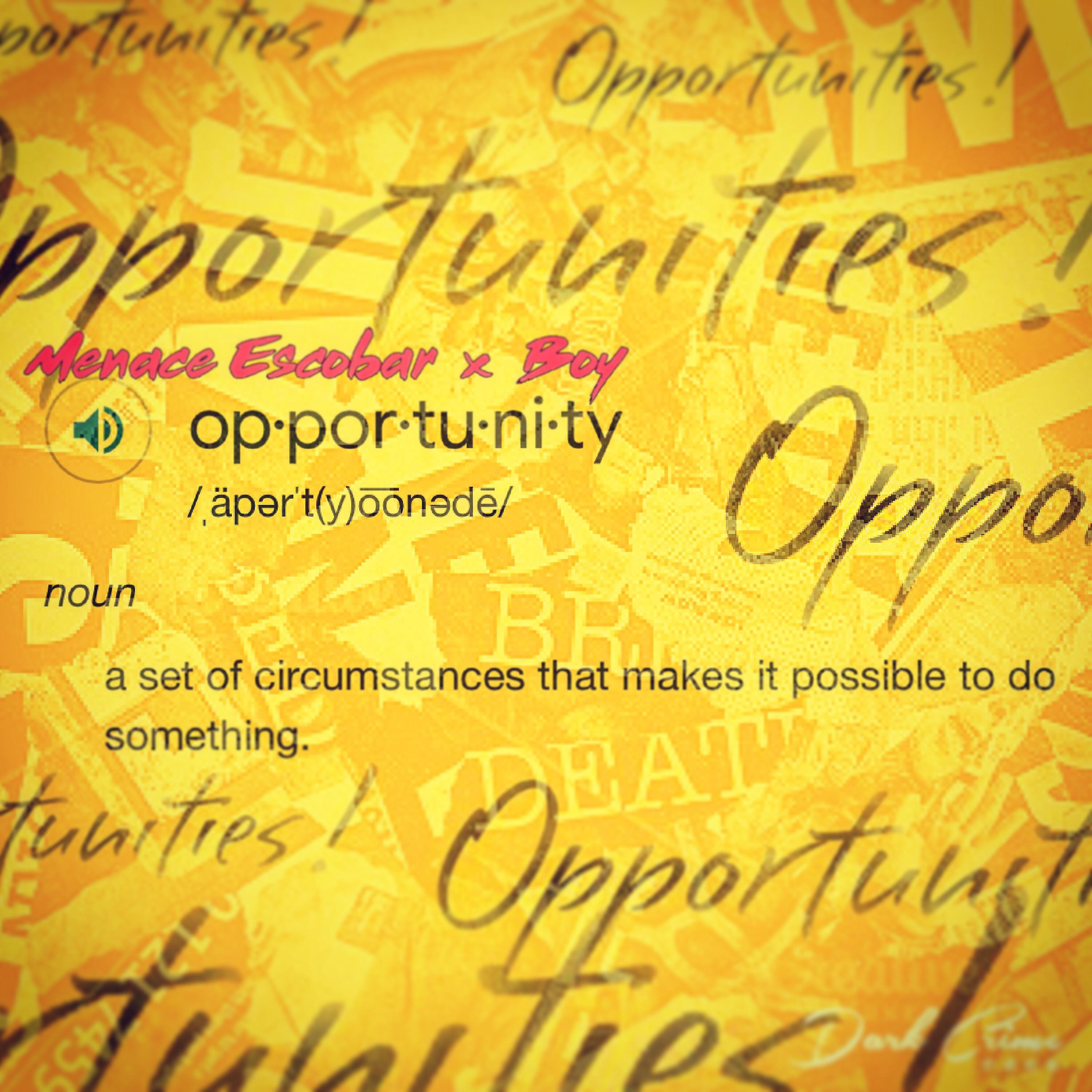 Постер альбома Opportunity (feat. Boy)