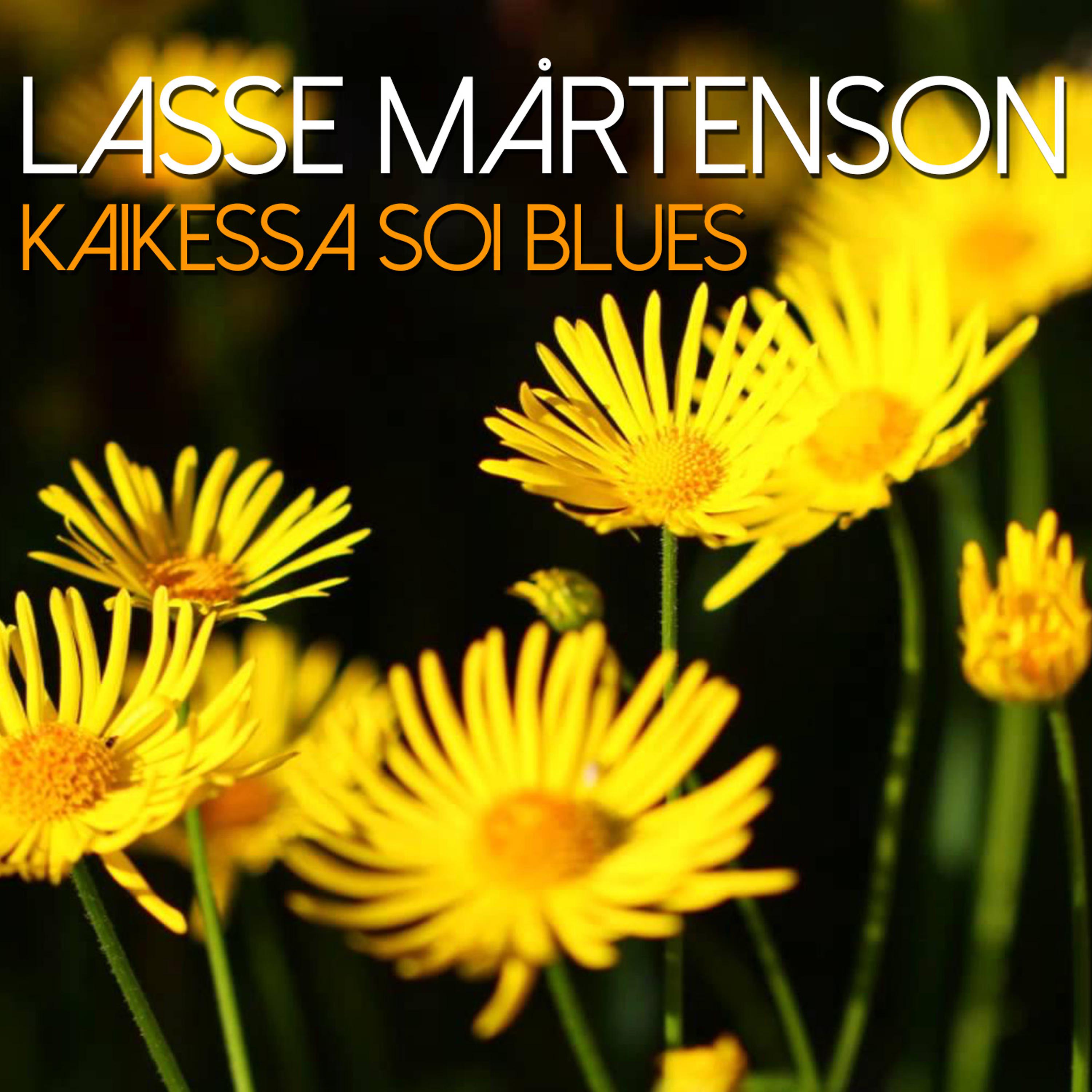 Постер альбома Kaikessa Soi Blues