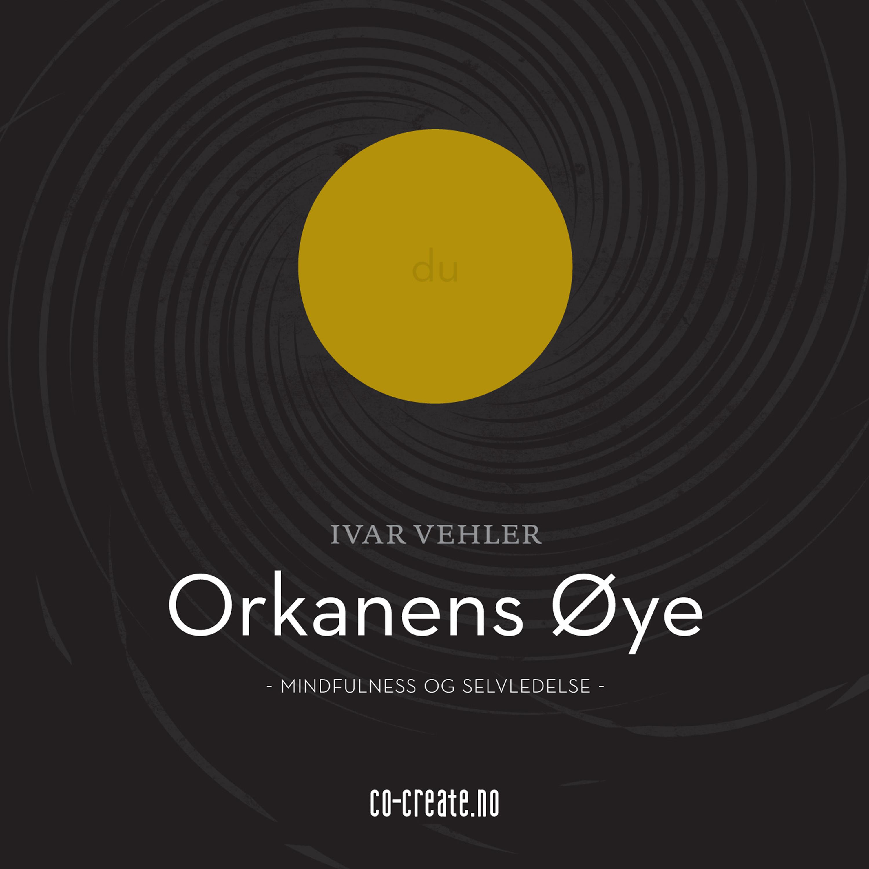 Постер альбома Orkanens Øye