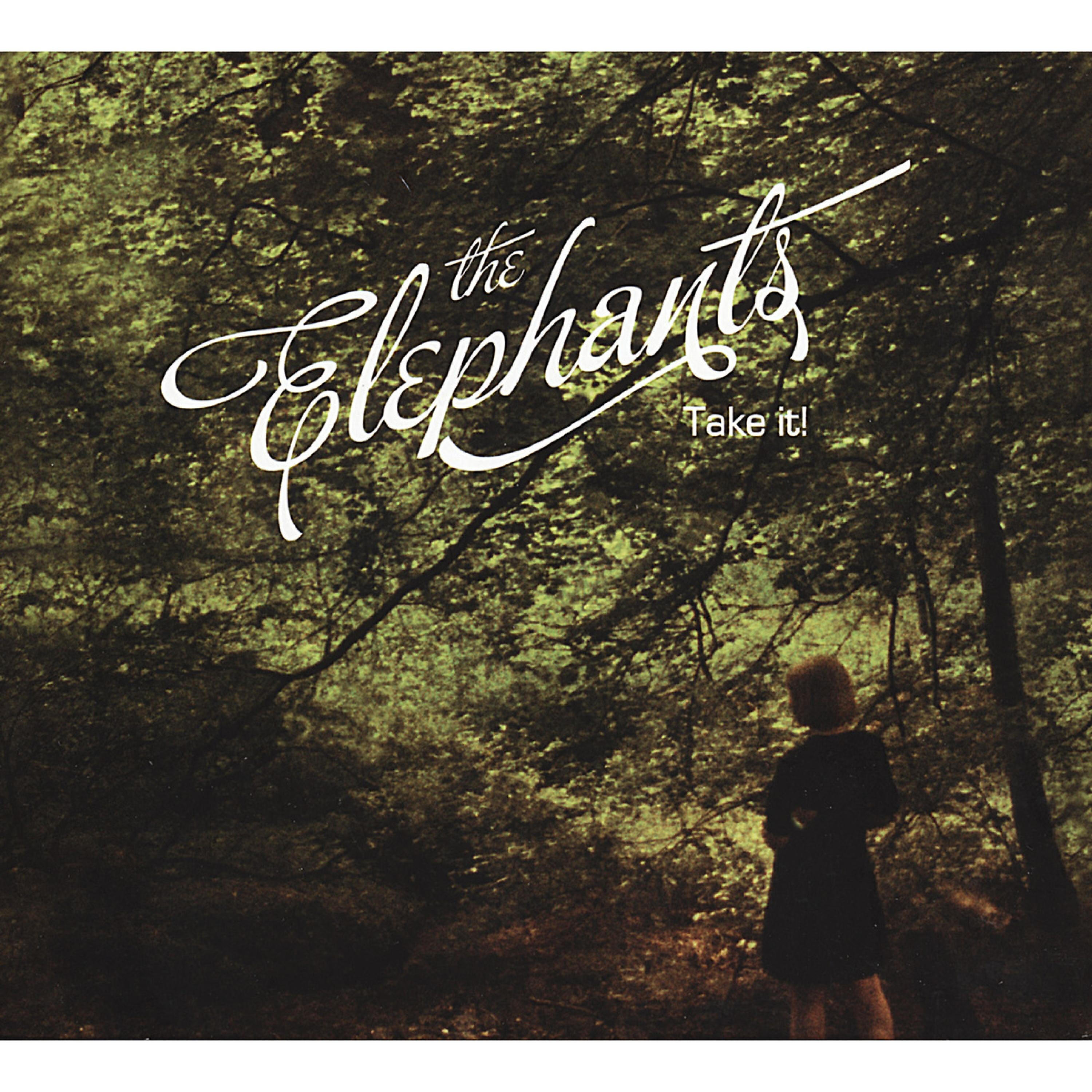 The Elephants - The Organ Grinder