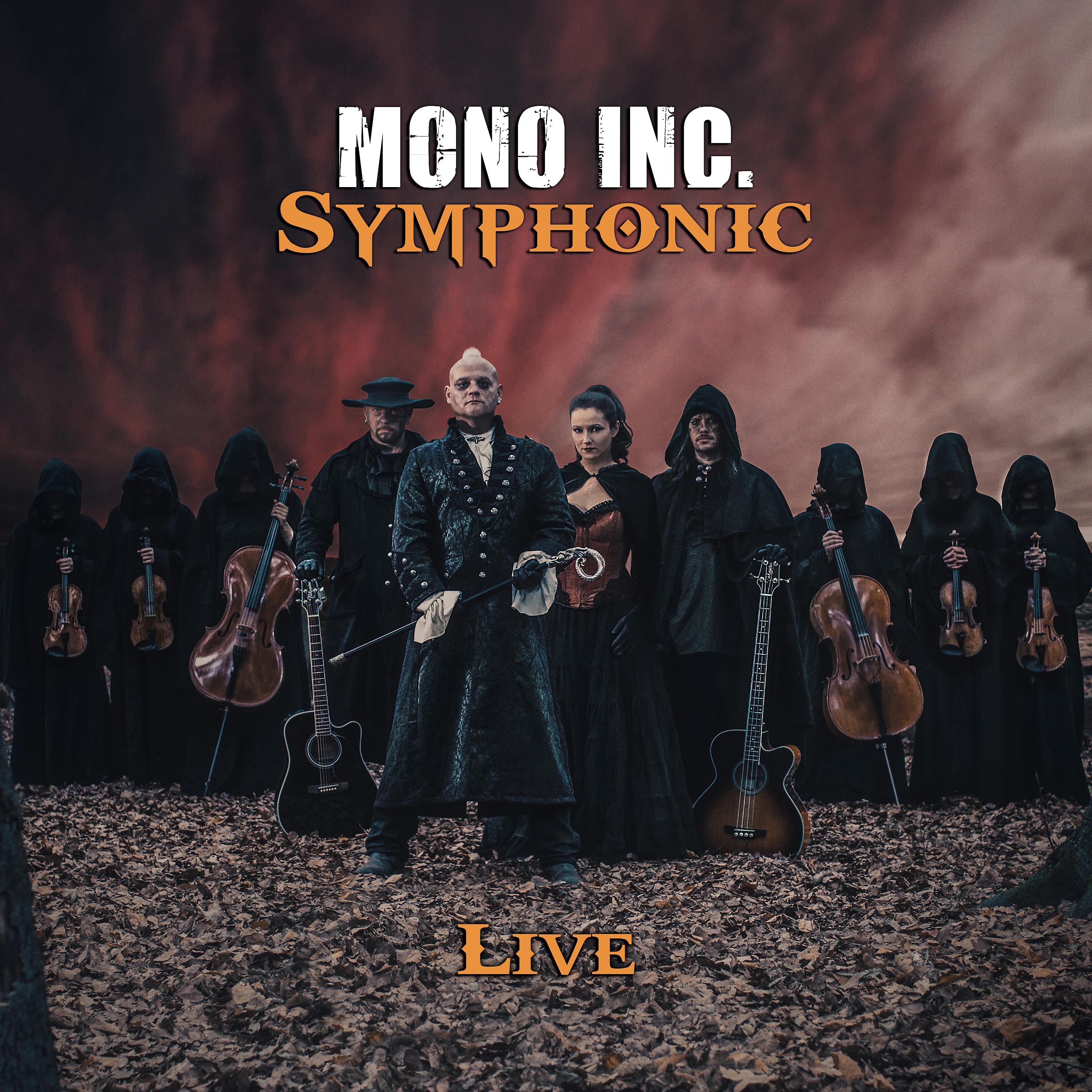 Постер альбома Symphonic Live