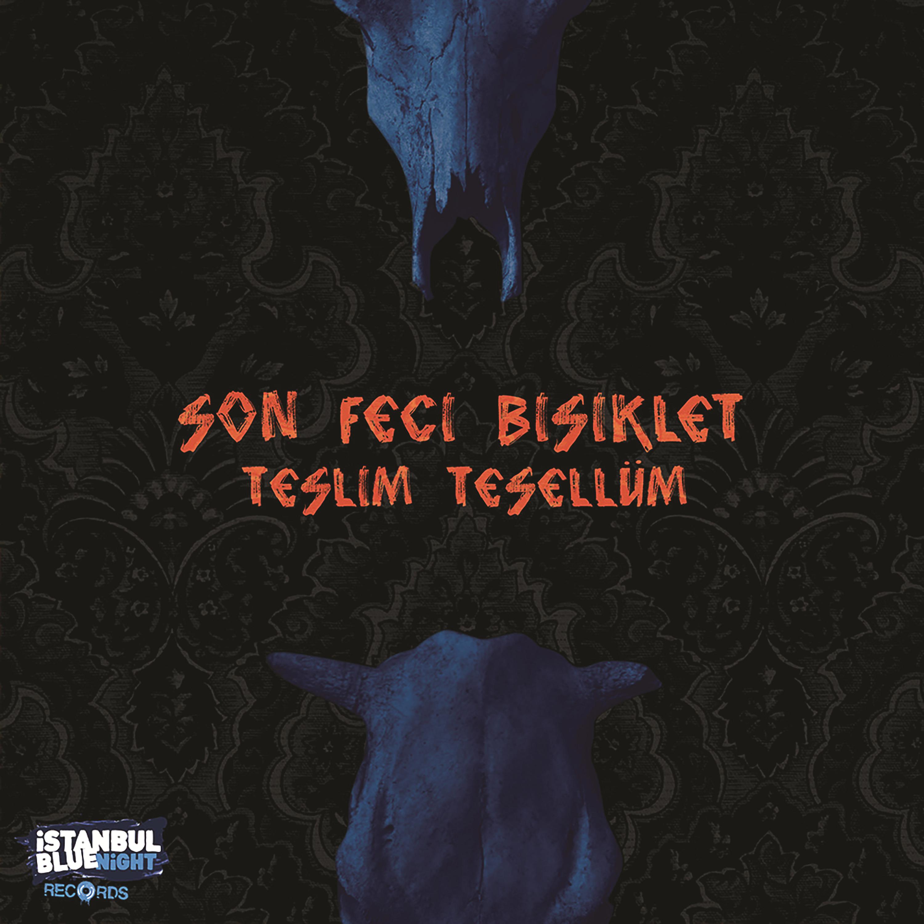 Постер альбома Teslim Tesellüm