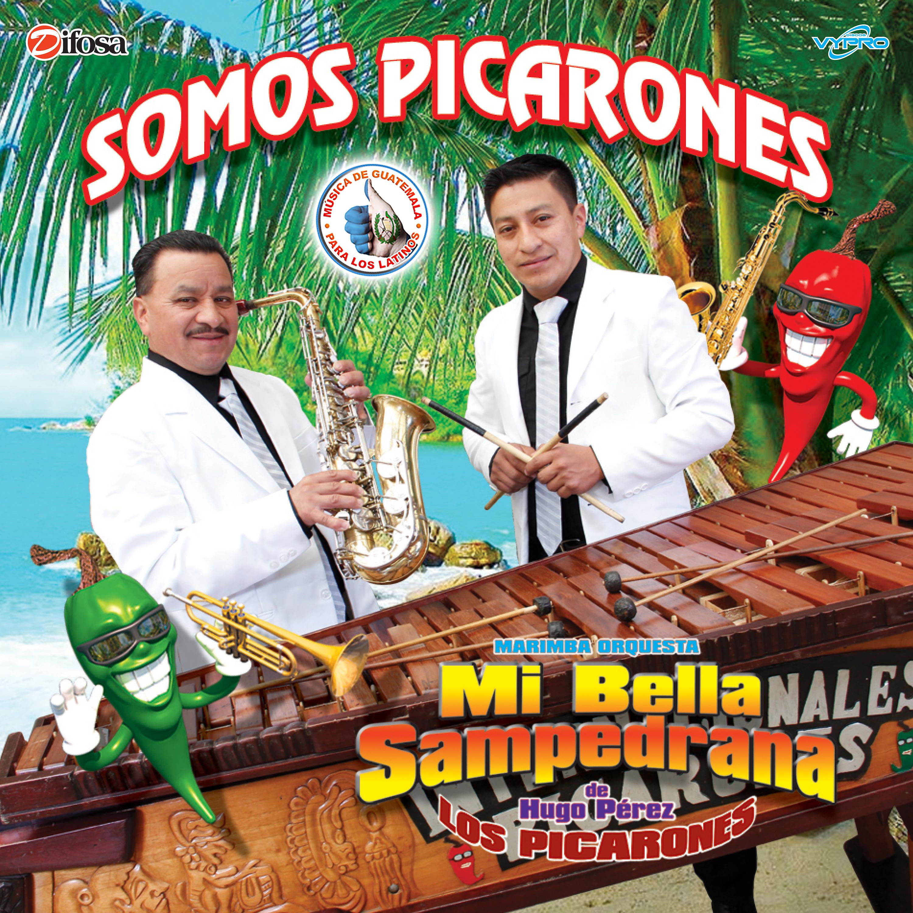 Постер альбома Somos Picarones. Música de Guatemala para los Latinos