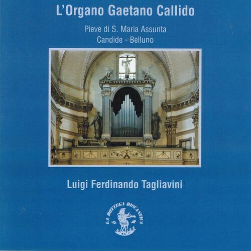 Luigi Ferdinando Tagliavini - Benedetto Marcello: Sonata X in Sol minore.  Largo