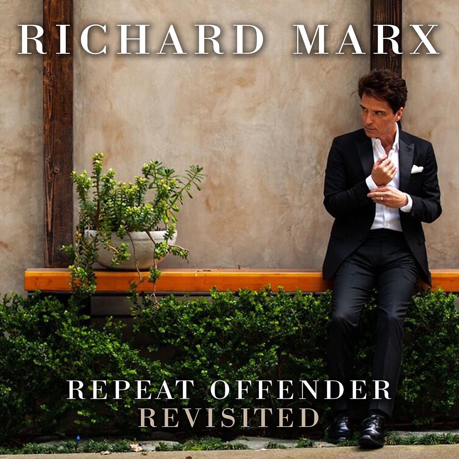 Richard Marx - Too Late To Say Goodbye (Acoustic)