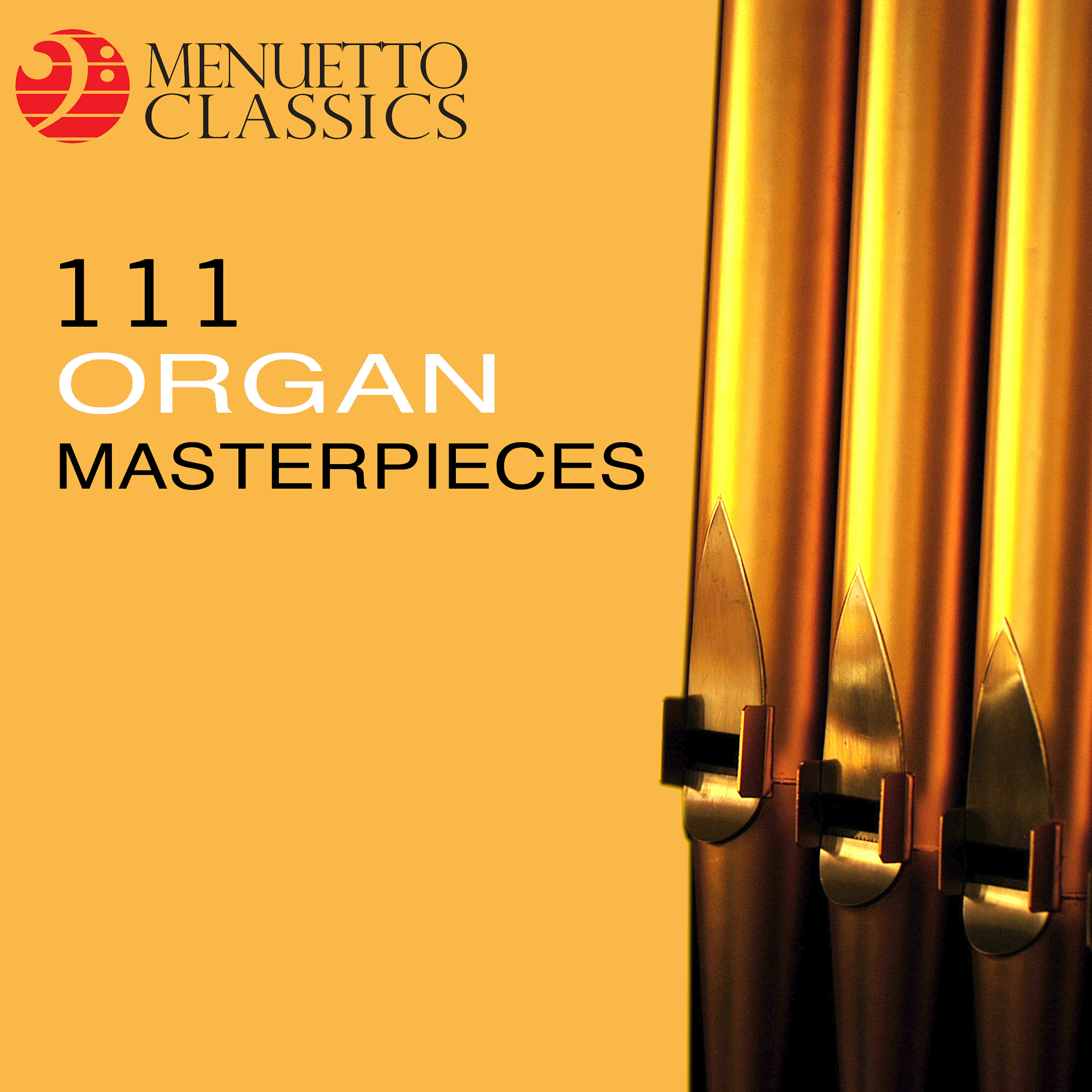 Постер альбома 111 Organ Masterpieces