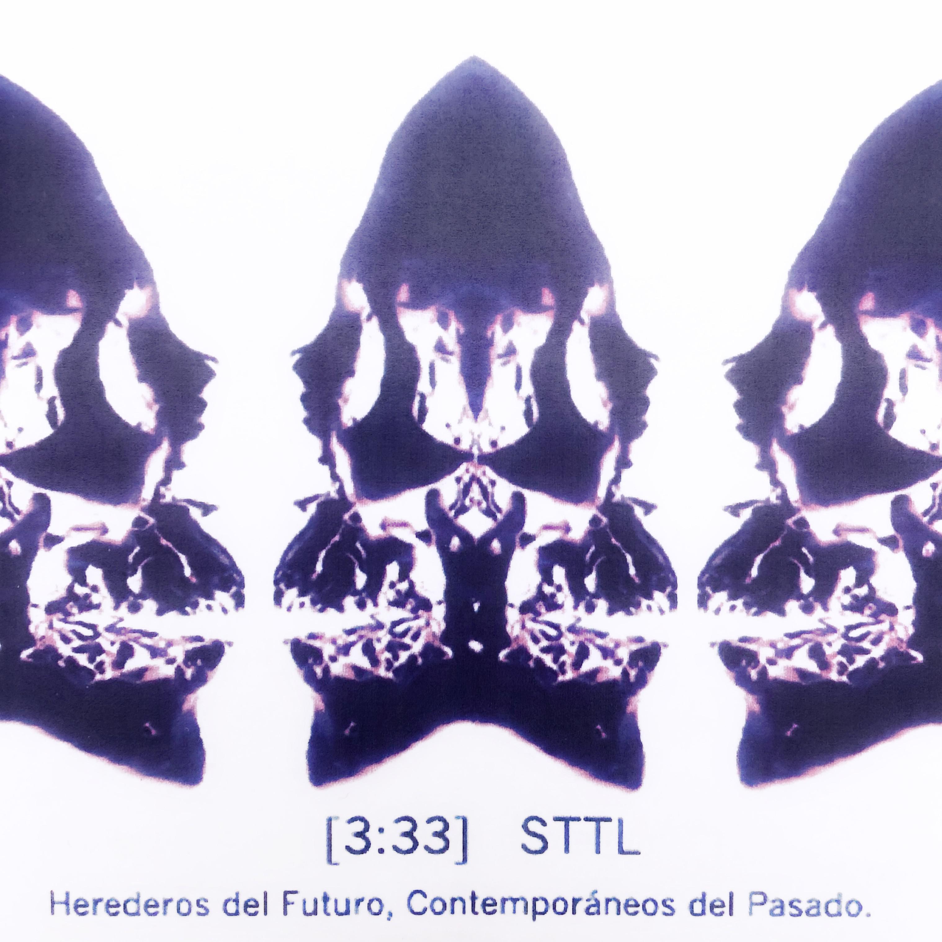 Постер альбома Sttl Herederos Del Futuro, contemporáneos Del Pasado