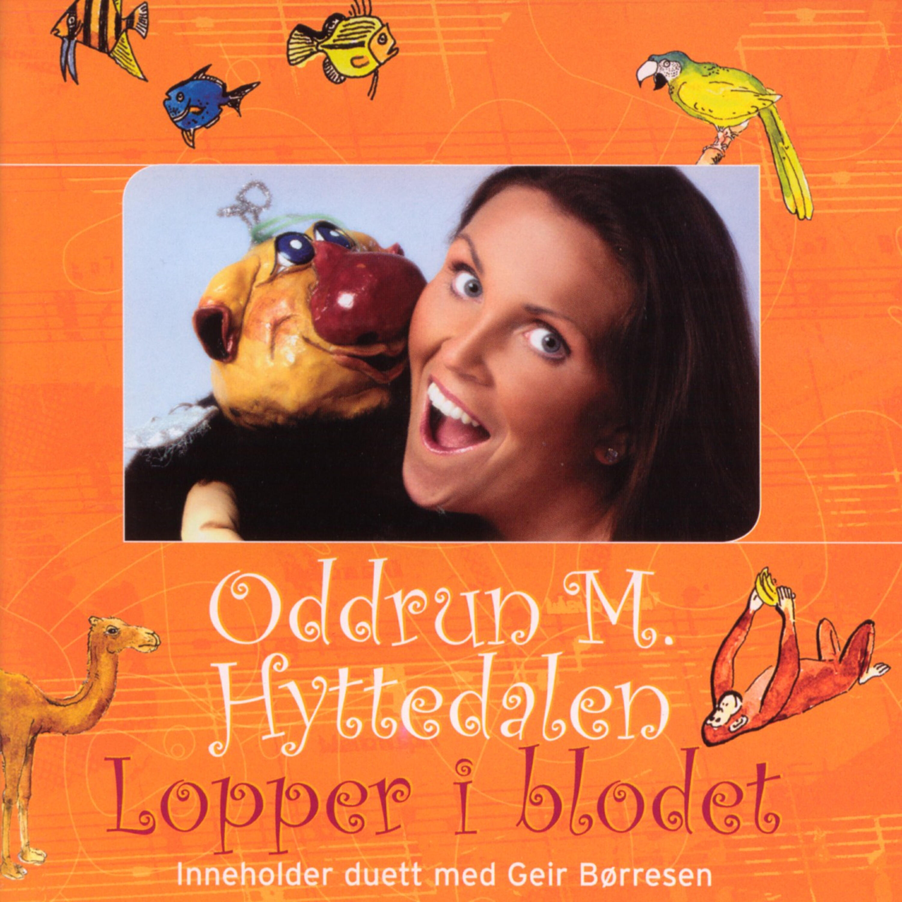 Oddrun M. Hyttedalen - Rare Hus