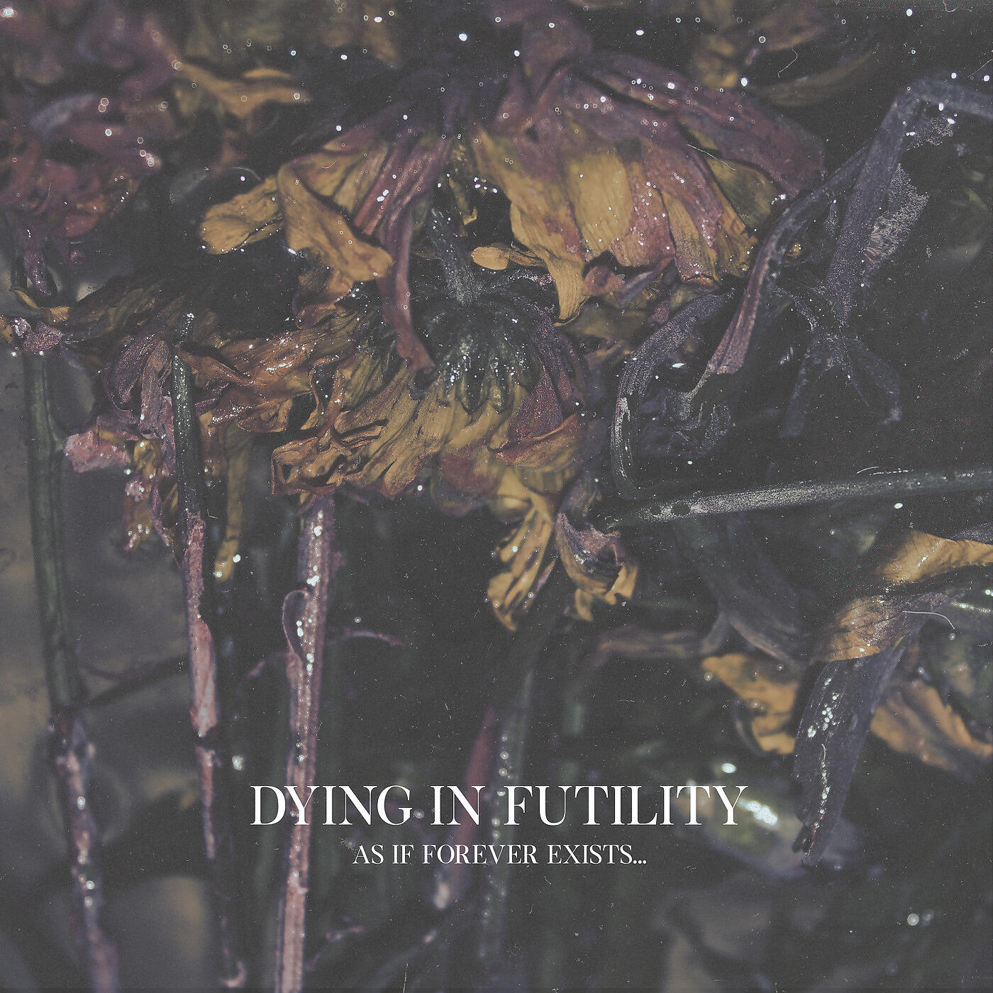 DYING IN FUTILITY - As If Forever Exists...