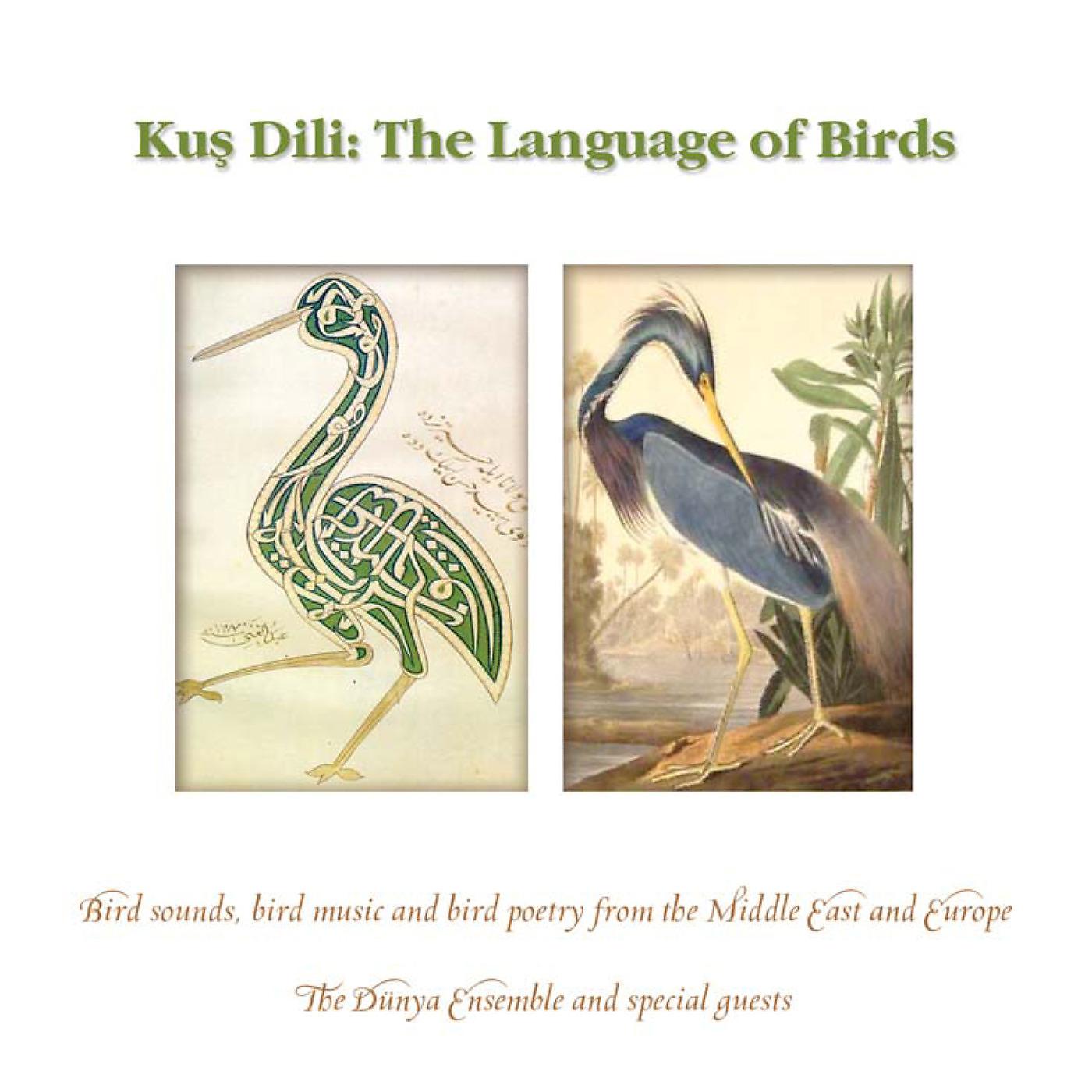Постер альбома The Language of Birds