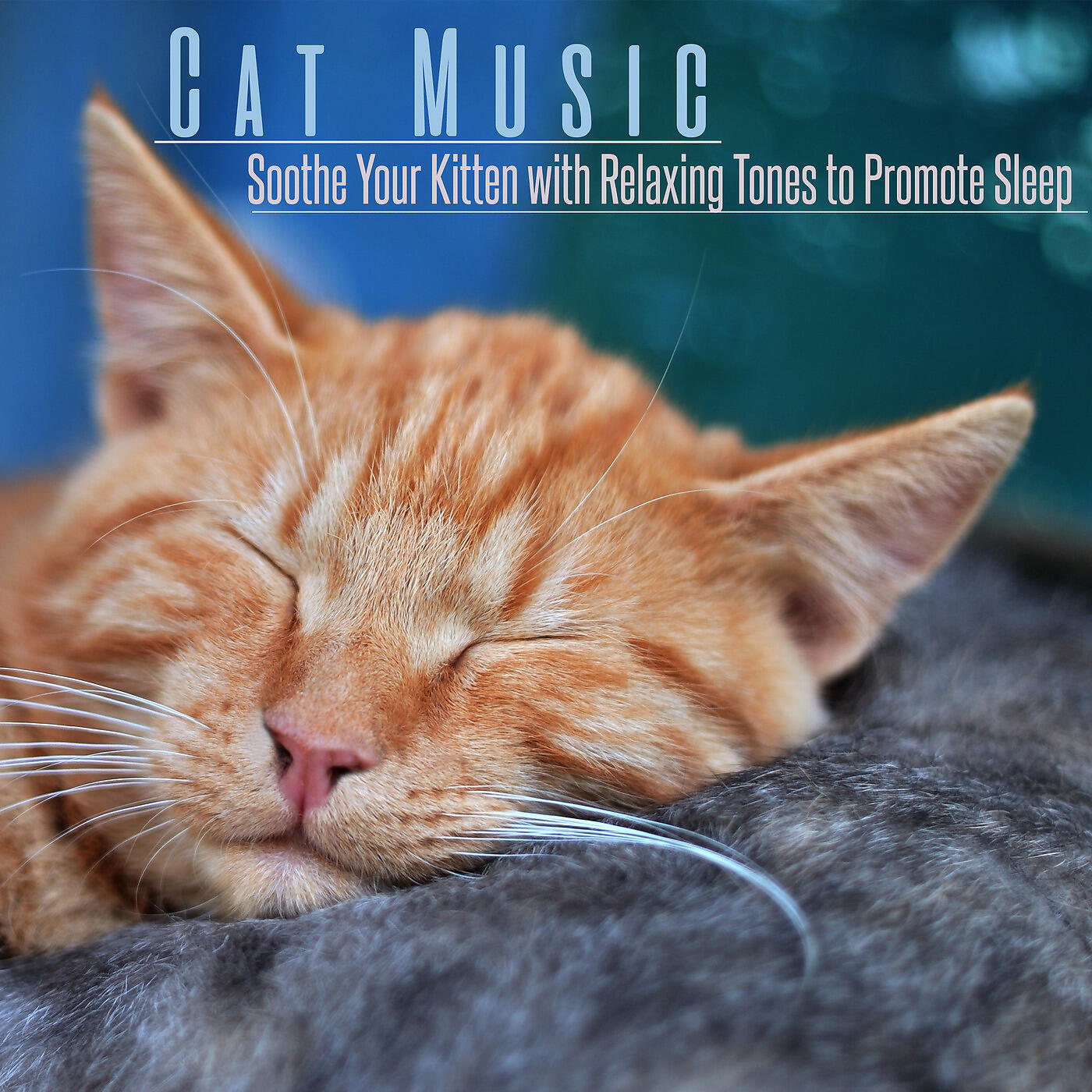 Music For Cats Peace - Catnip Dreaming