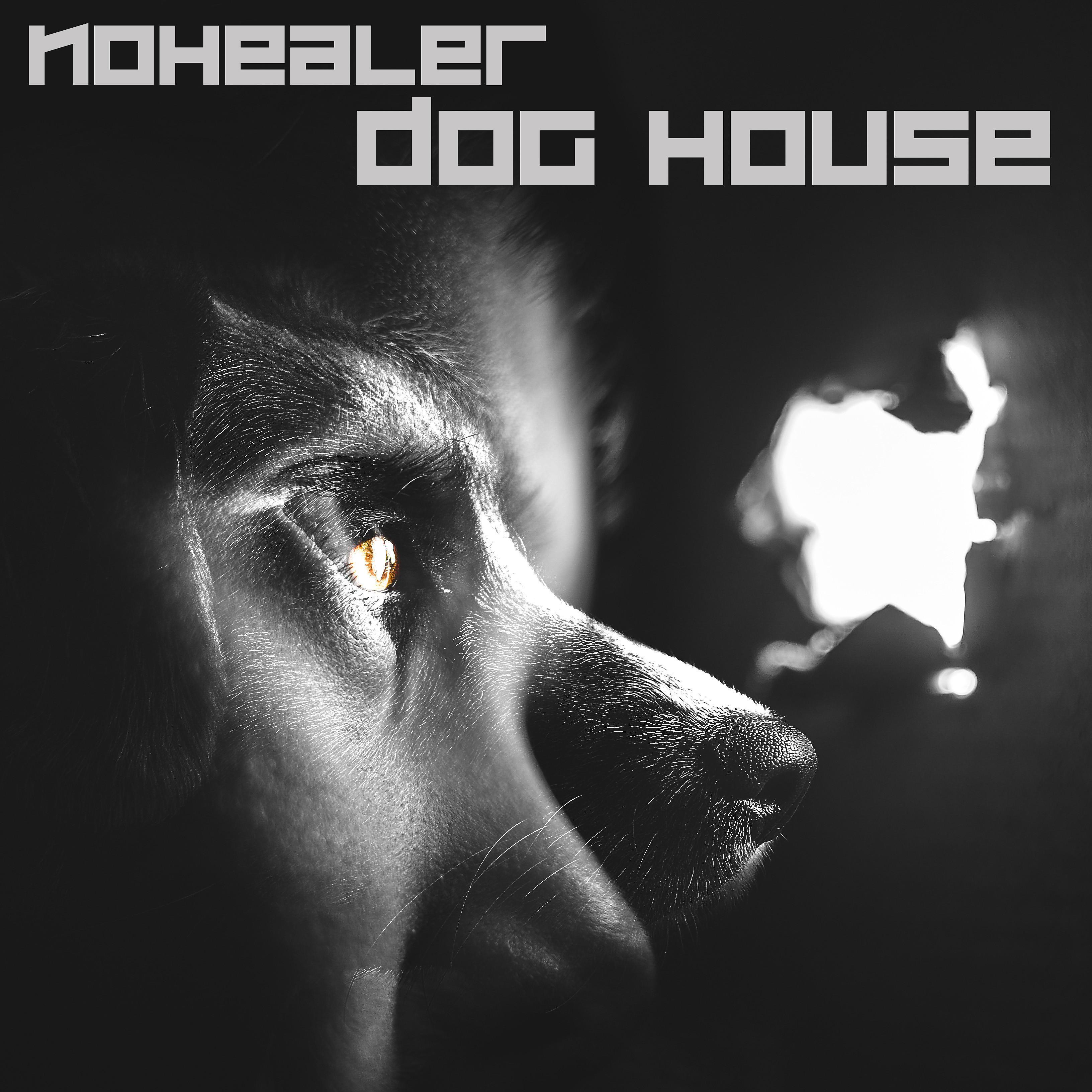 Постер альбома Dog House