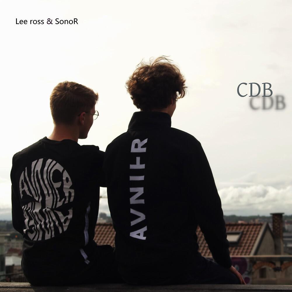 Lee ross - CDB