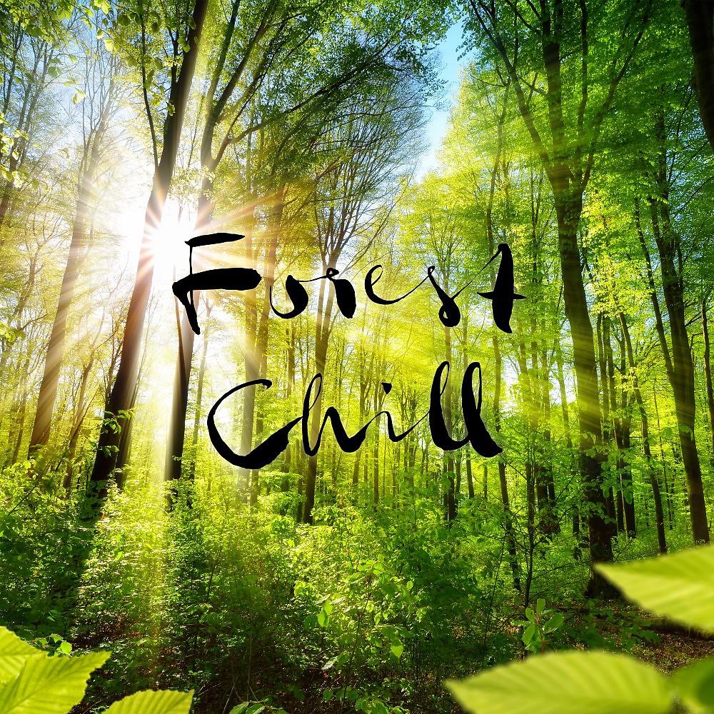 Постер альбома Forest Chill