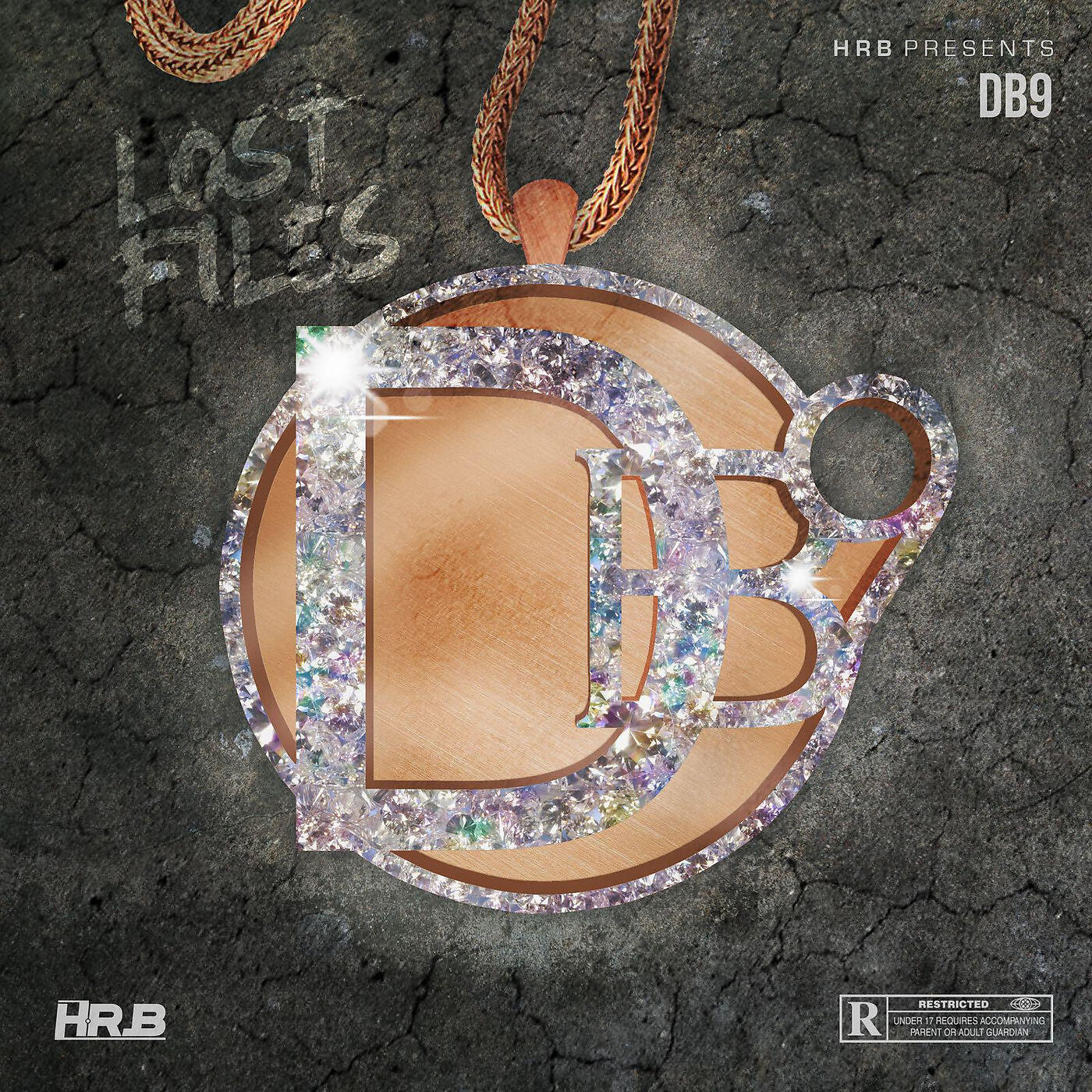 DB9 - Young Reckless
