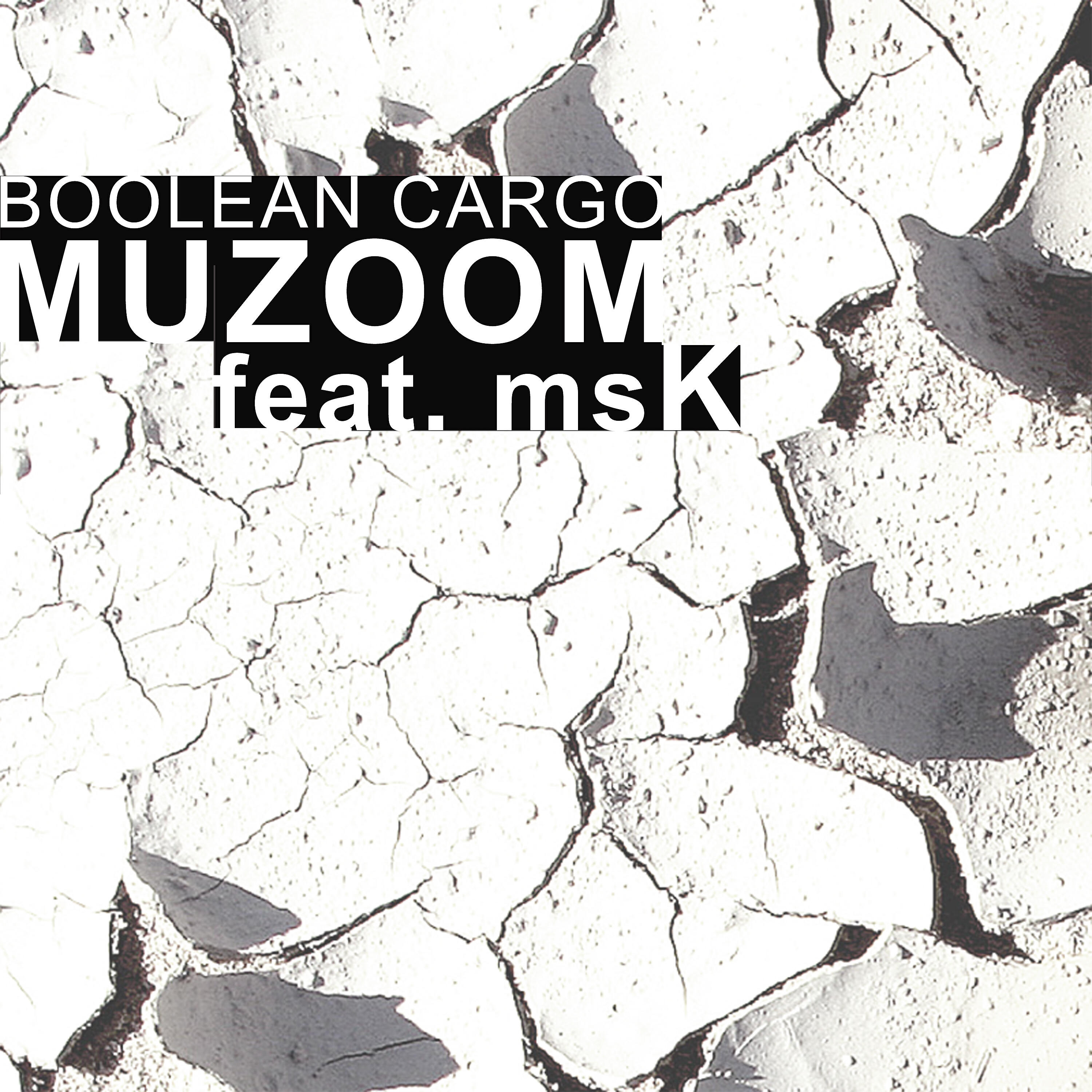 Boolean Cargo - Muzoom