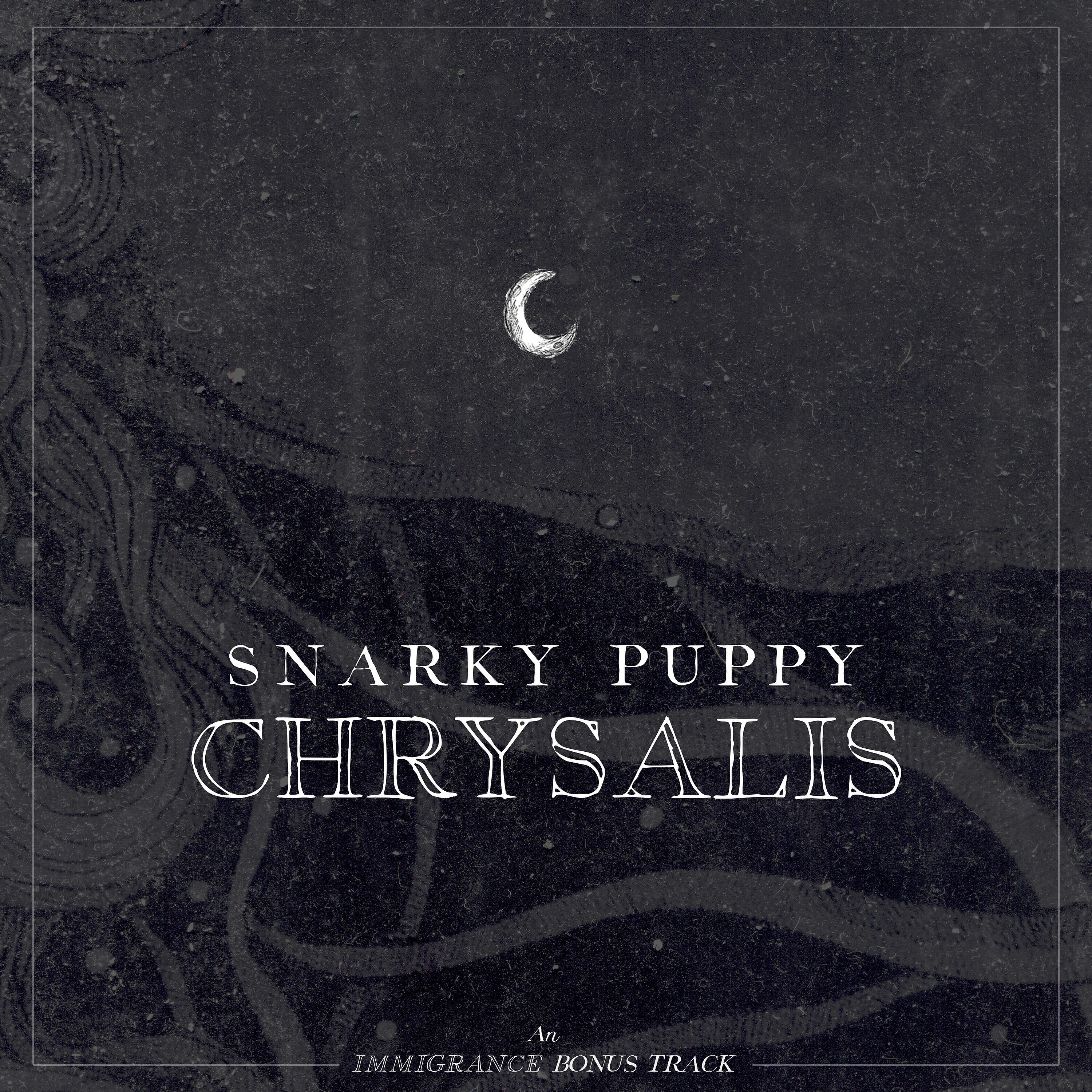 Snarky Puppy - Chrysalis