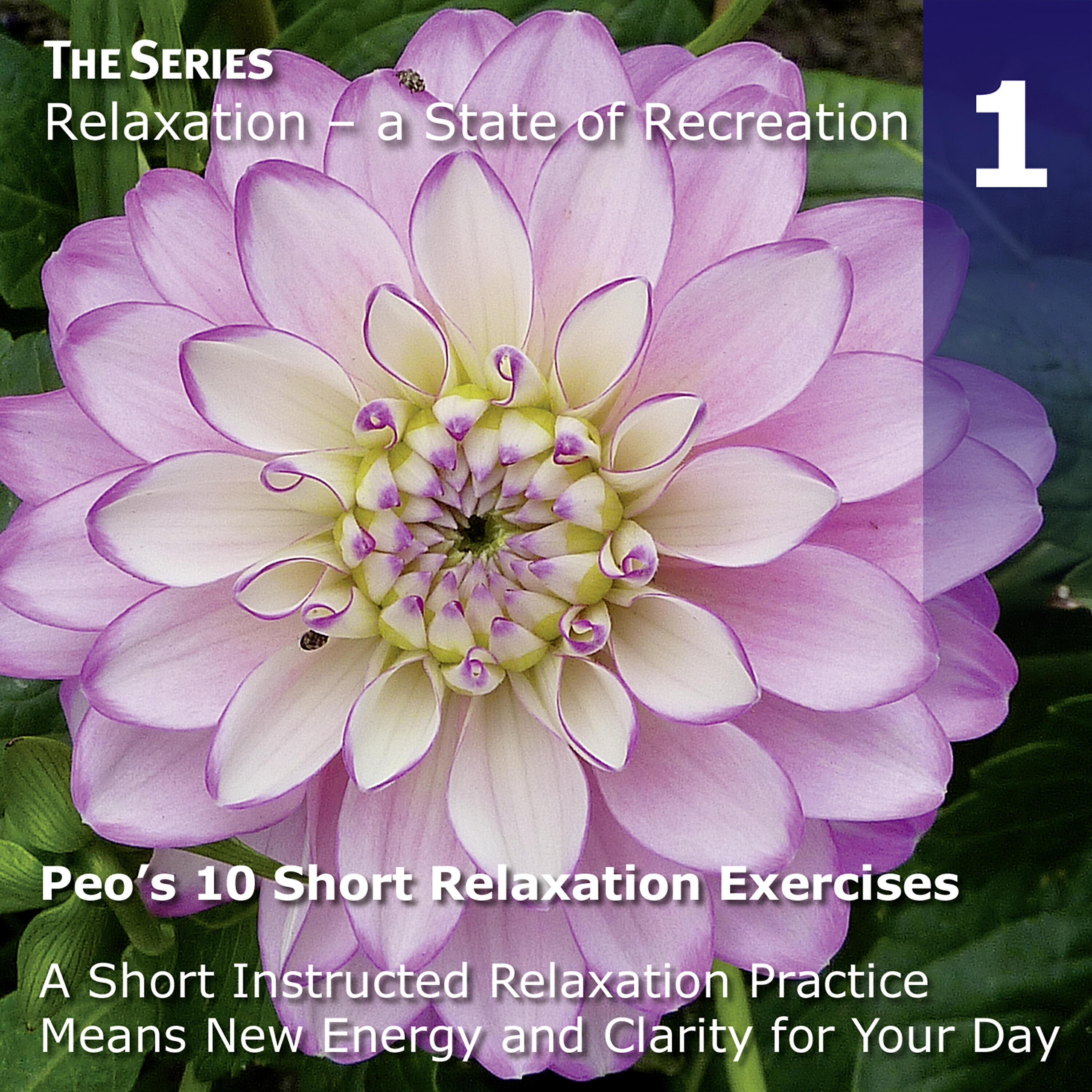 PEO - Introduction to Short Relaxation Exercises