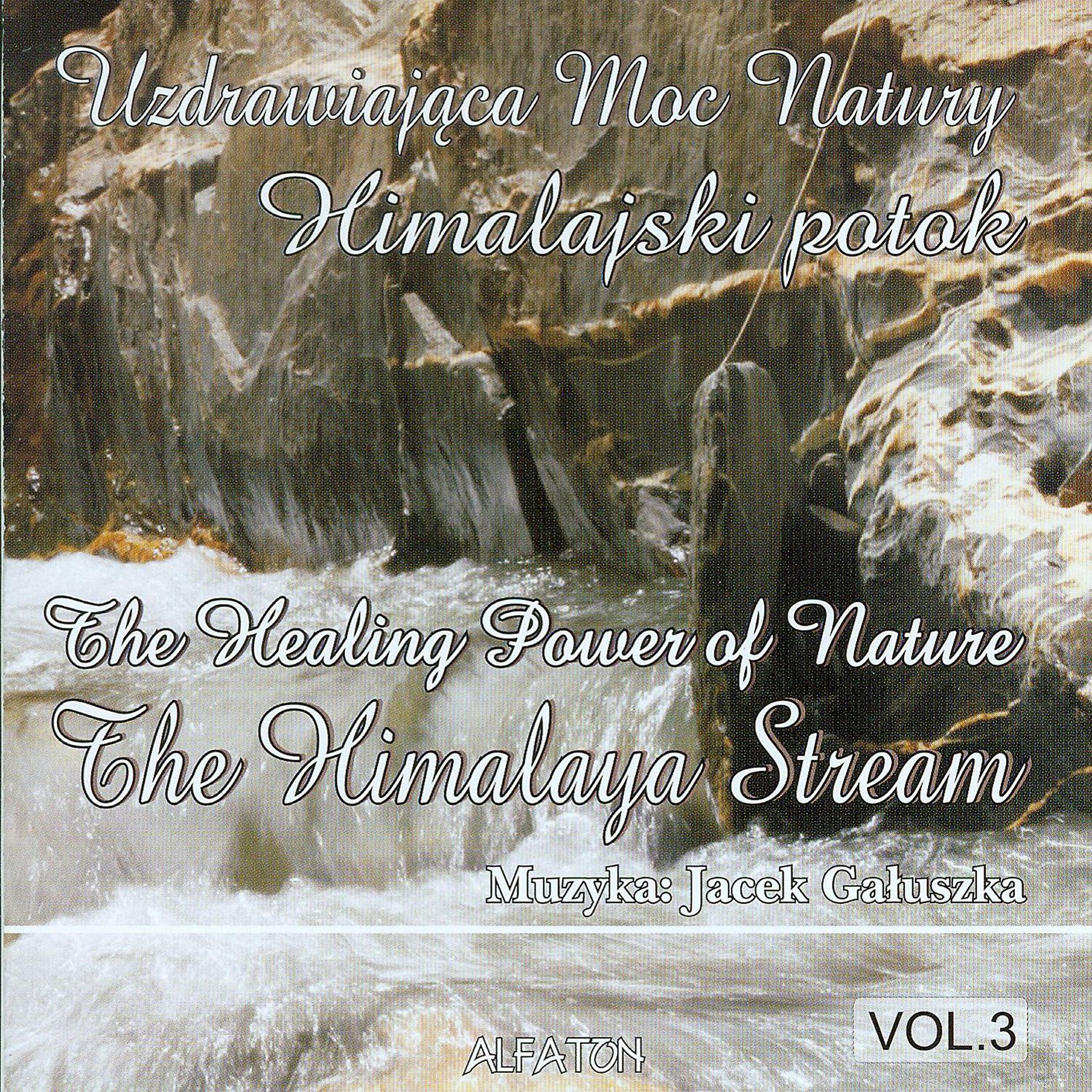 Dariusz Bartosiewicz - The Himalaya Stream, Pt. 1