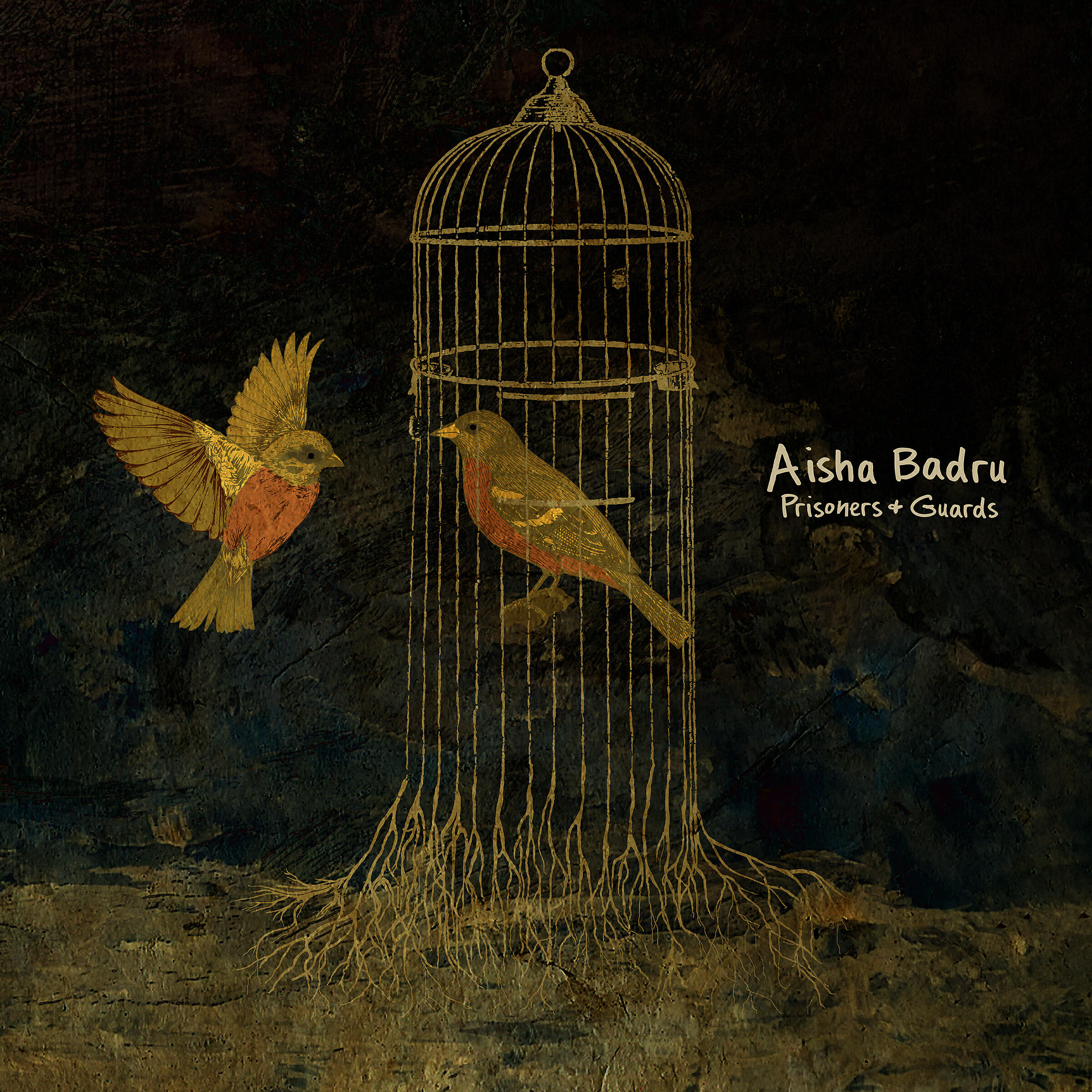 Aisha Badru - Prisoners & Guards