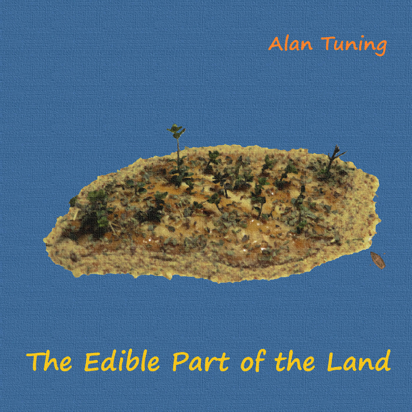 Alan Tuning - Implementing the StringLike Interface, No. 1: Mov I