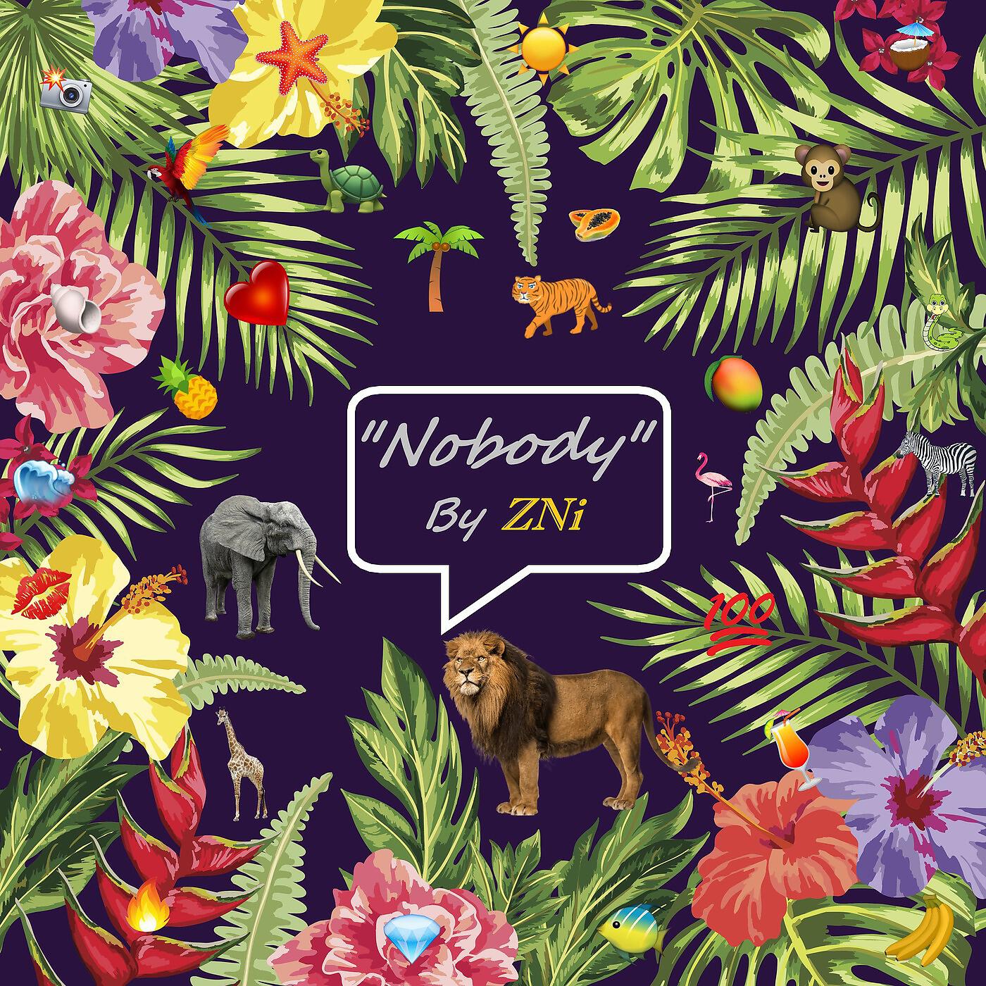 ZNi - Nobody