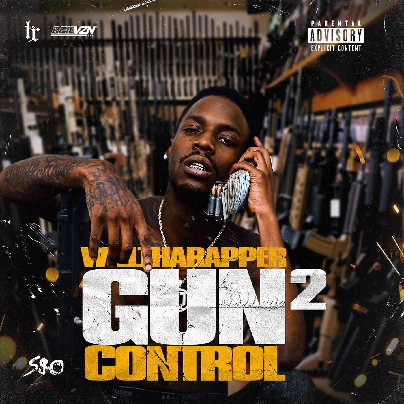 Постер альбома Gun Control 2