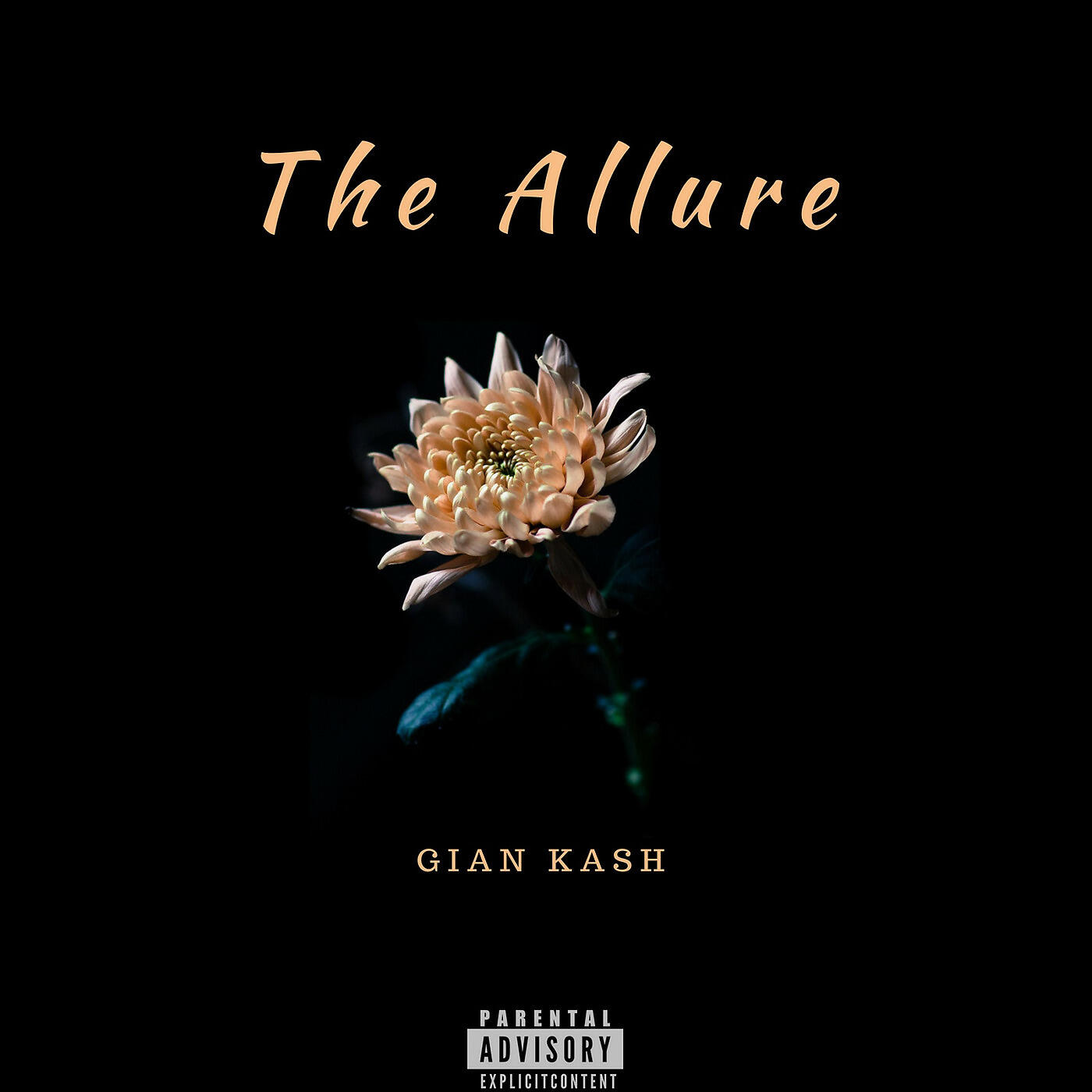 Gian Kash - All I Need