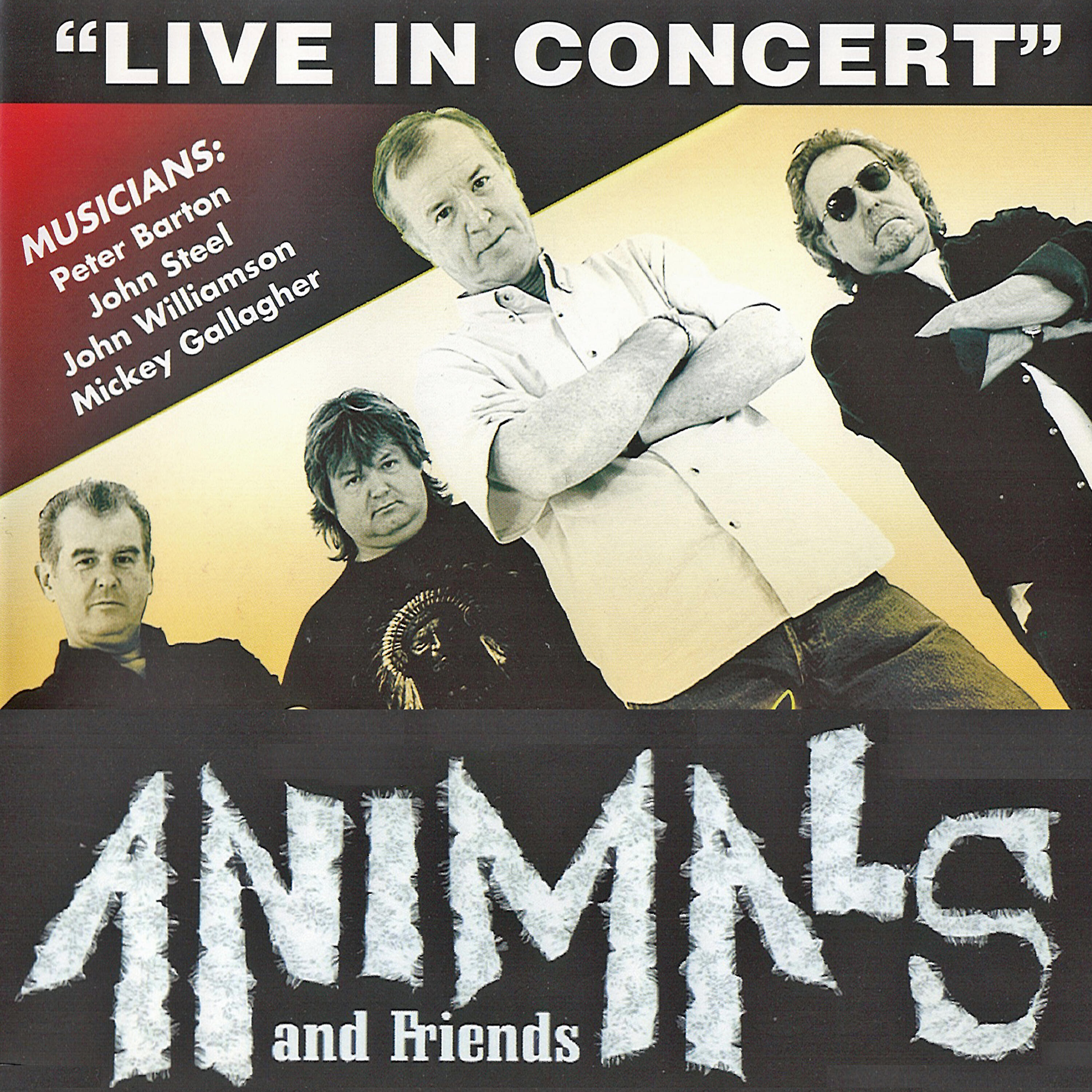 Animals - Don't Let Me Be Misunderstood
