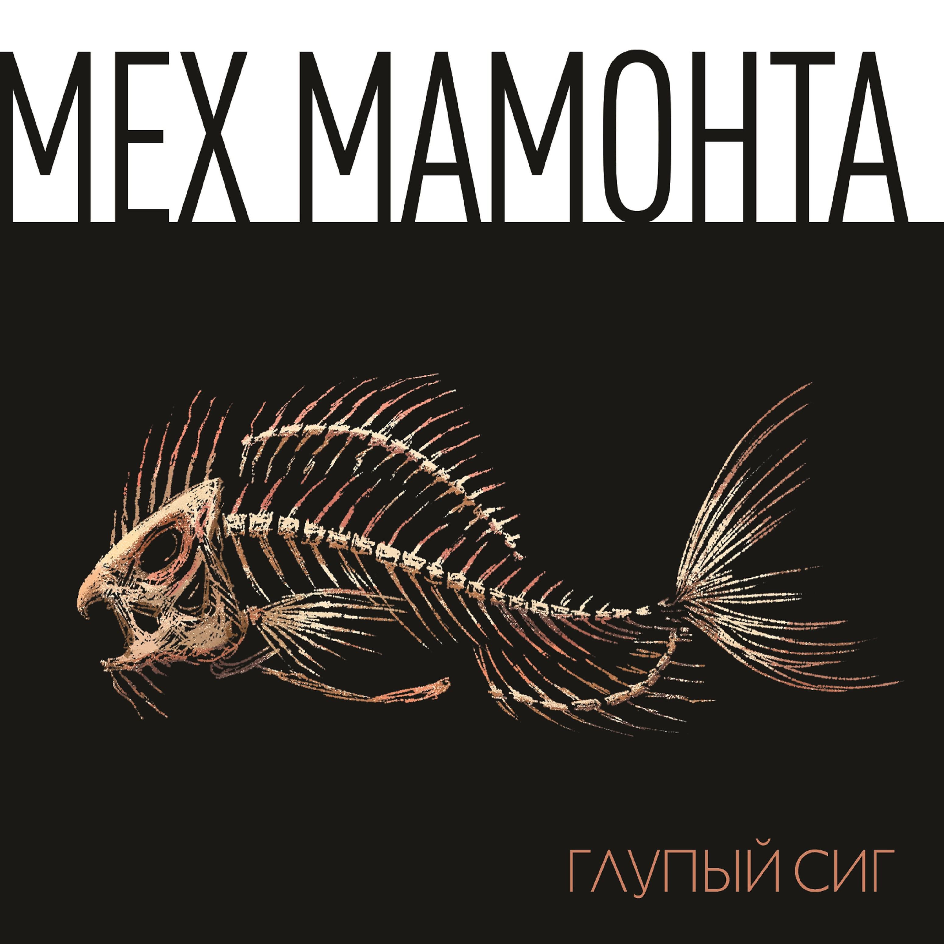 Мех Мамонта - Песня о смысле жизни