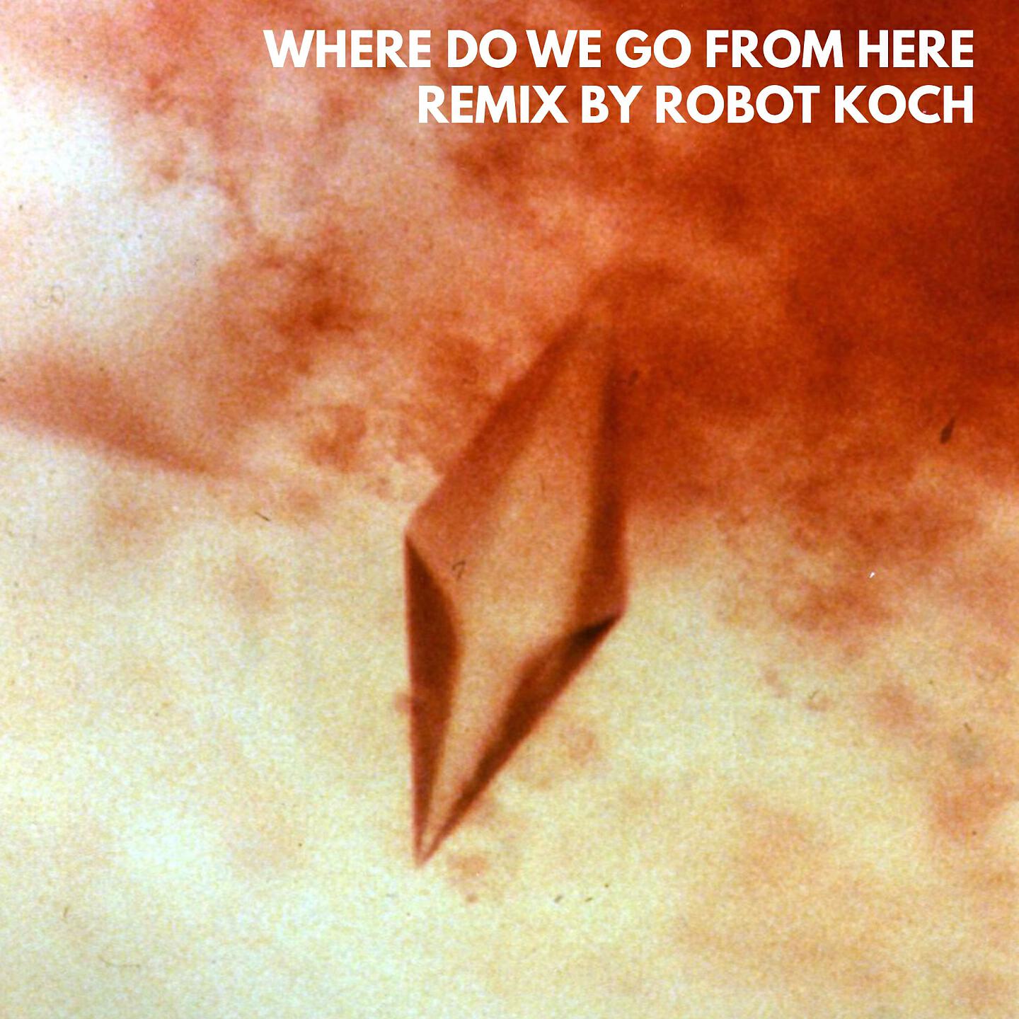 The Great Escape - Where Do We Go from Here (Robot Koch Remix)