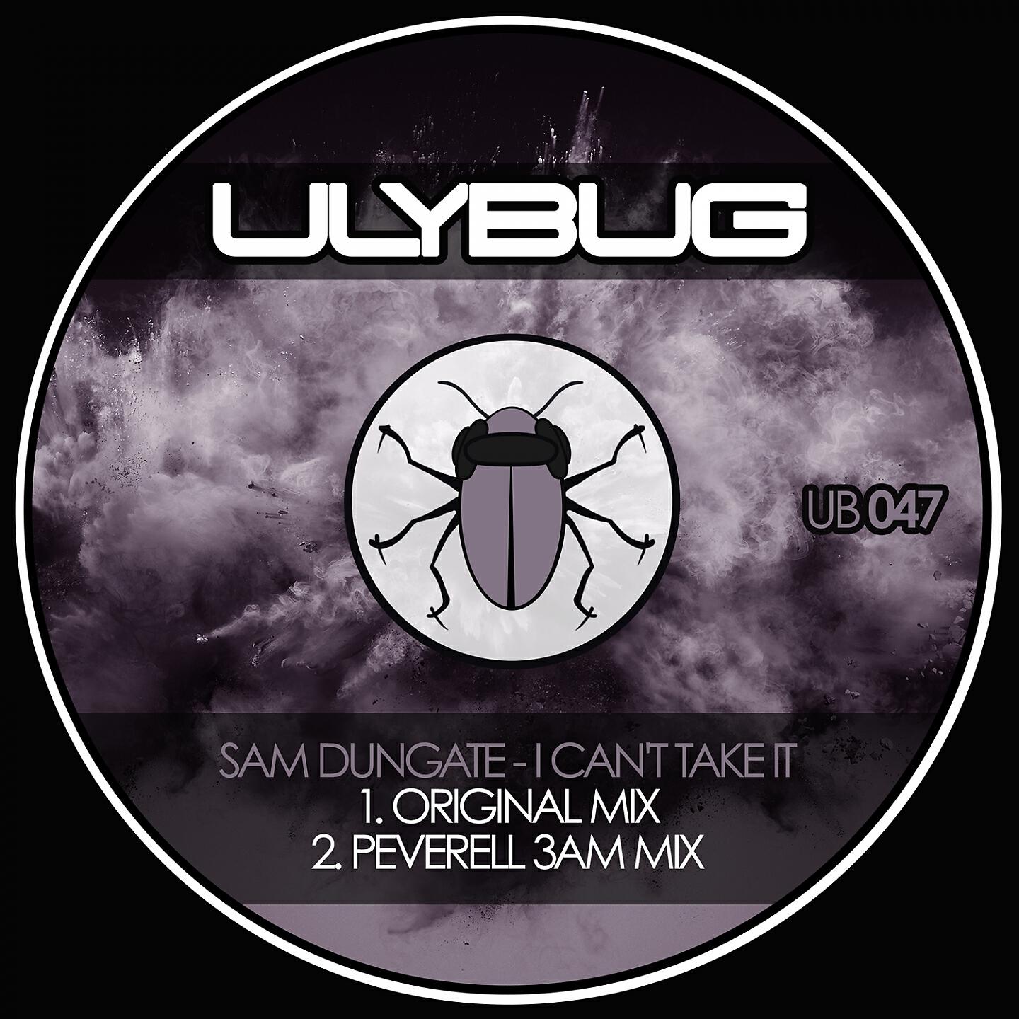Sam Dungate - I Can't Take It (Peverell 3AM Remix)