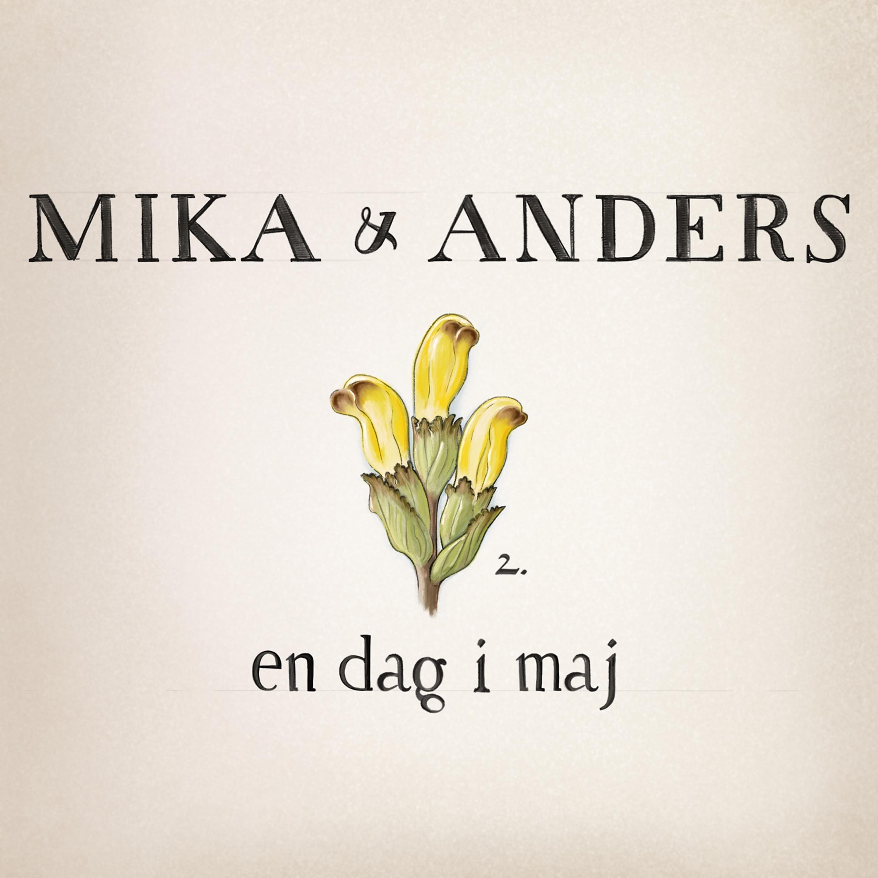 Постер альбома En Dag I Maj